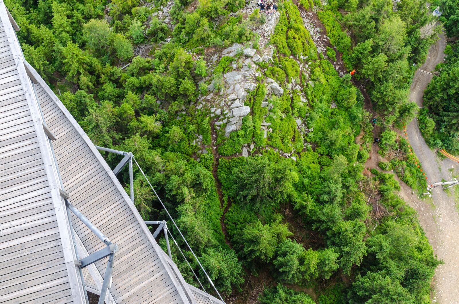 Nikon D5100 sample photo. Aerial, view, forest, idyllic photography