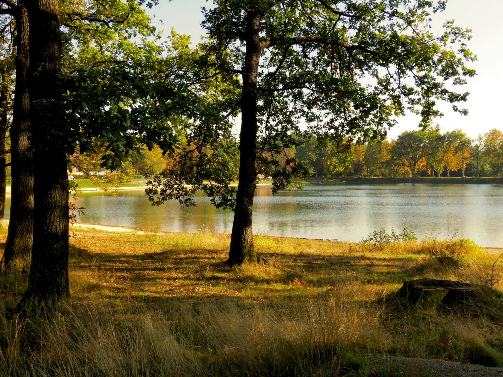 Canon PowerShot SX40 HS sample photo. Landscape, lake, trees photography