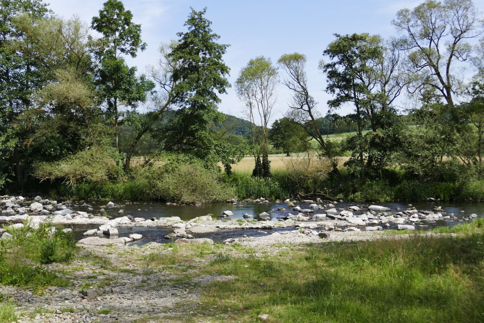 Panasonic Lumix DMC-FZ1000 sample photo. Riverbed, stones, trees photography
