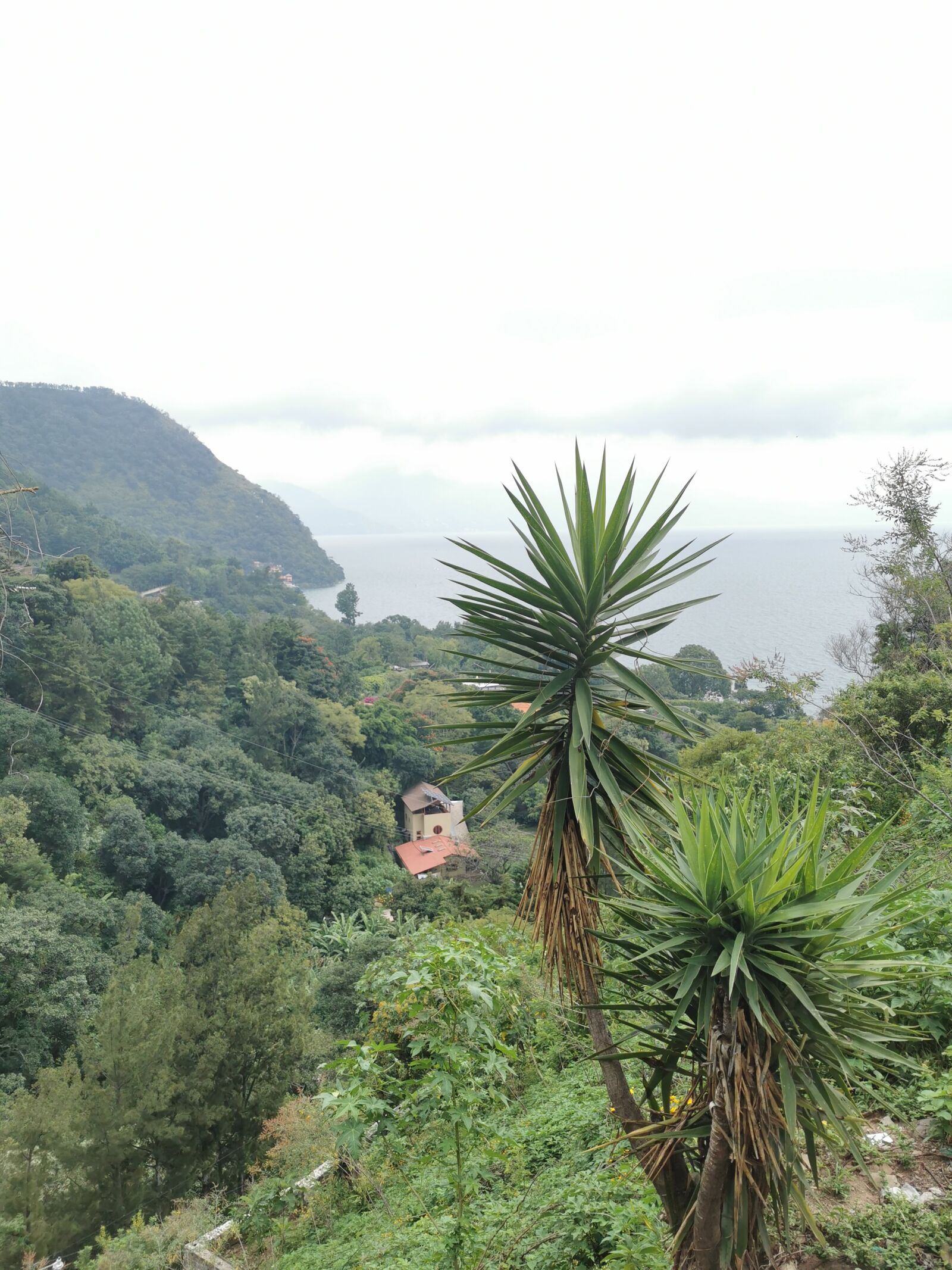 HUAWEI P30 Pro sample photo. Guatemala, nature, mountain photography
