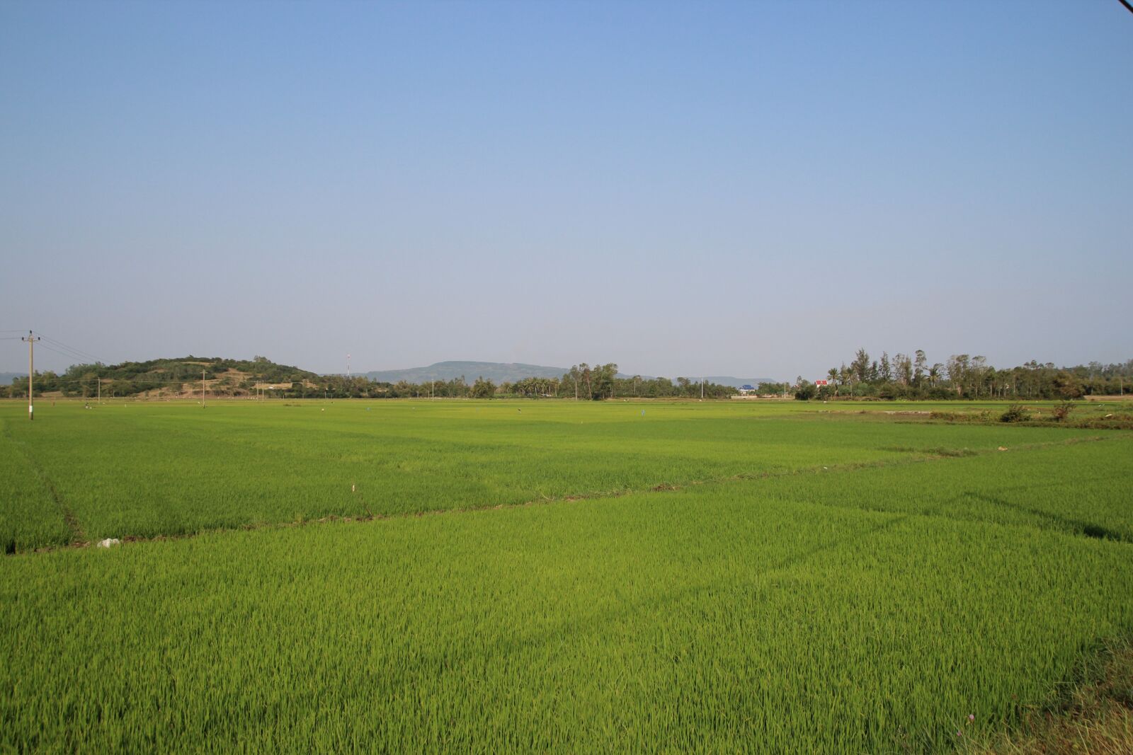Tamron SP AF 17-50mm F2.8 XR Di II LD Aspherical (IF) sample photo. Vietnam, asia, field photography