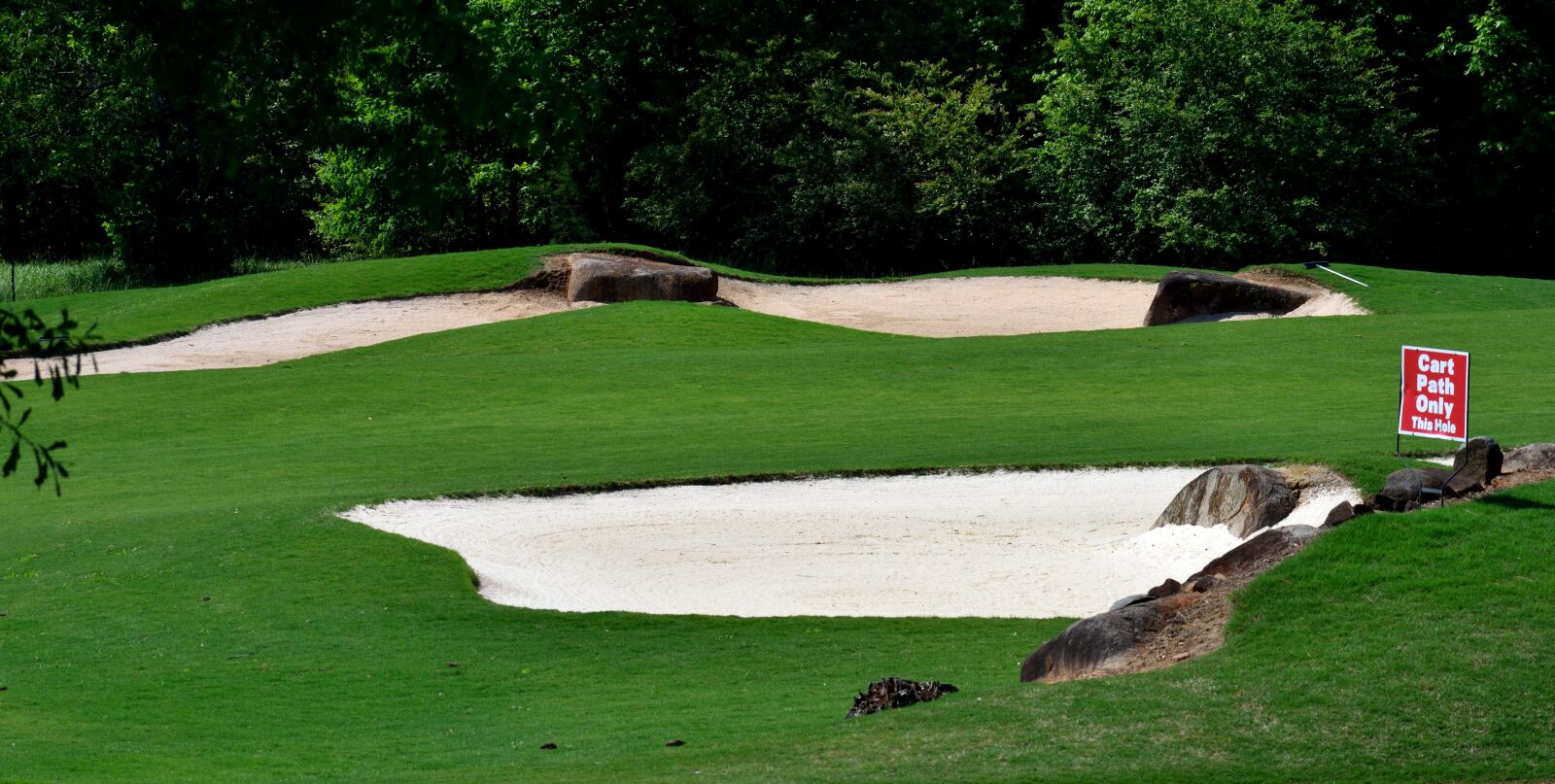 Nikon D3300 sample photo. Sand trap, golf, greens photography