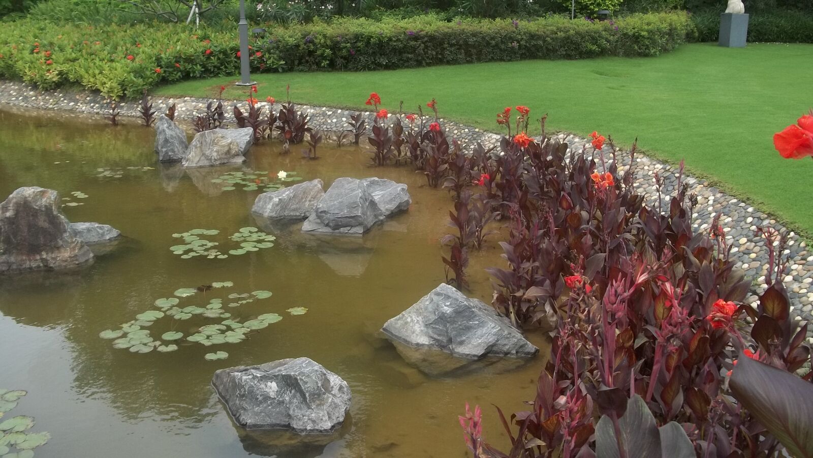Kodak EASYSHARE M531 DIGITAL CAMERA sample photo. Shenzen, water lily, goldfish photography