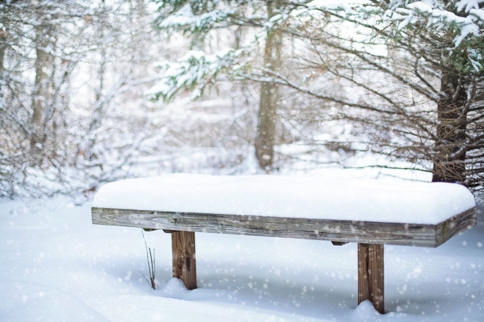 Canon EF 50mm F1.4 USM sample photo. Snow, bench, snowy photography