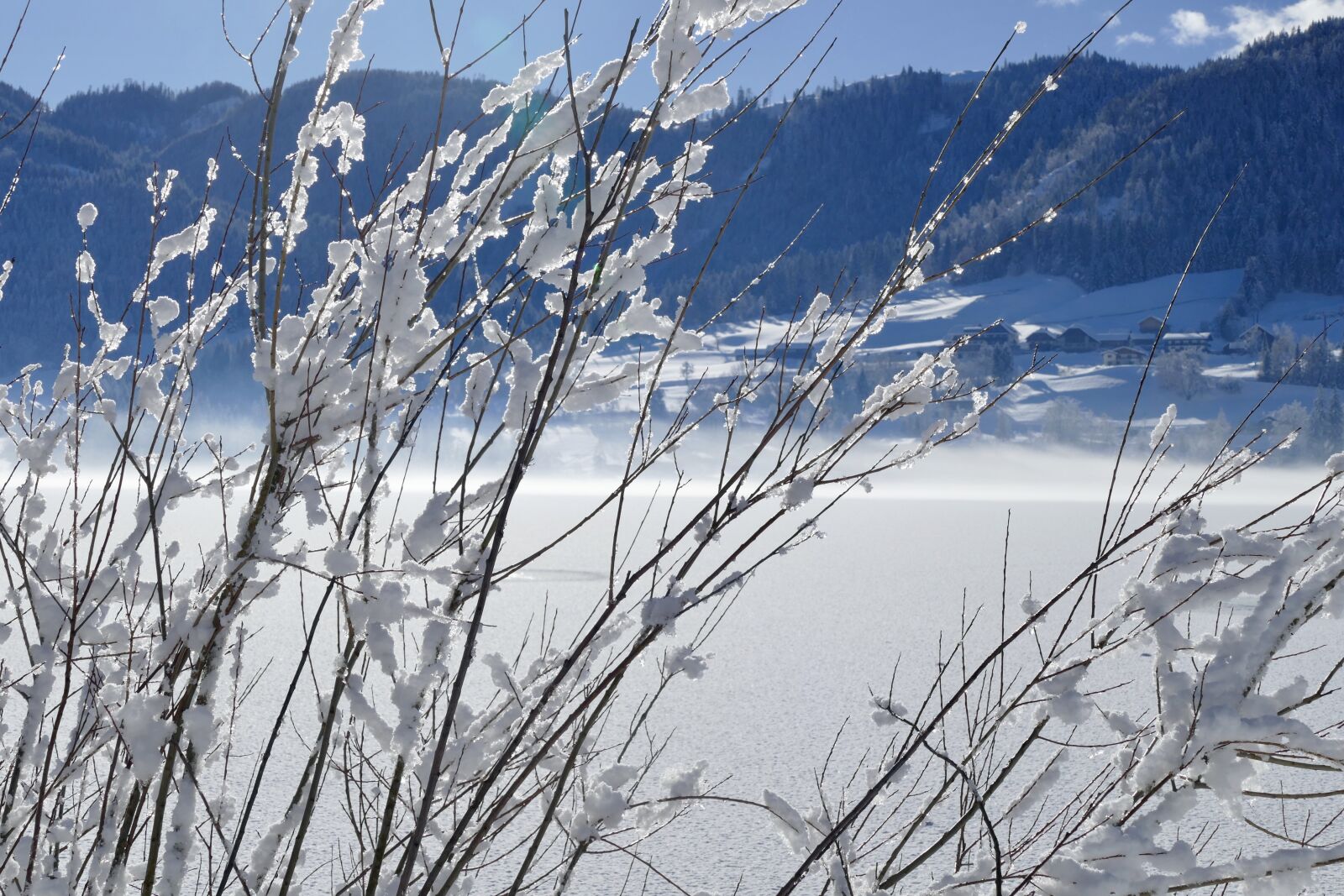 Panasonic Lumix DMC-FZ1000 sample photo. Snow, winter, nature photography