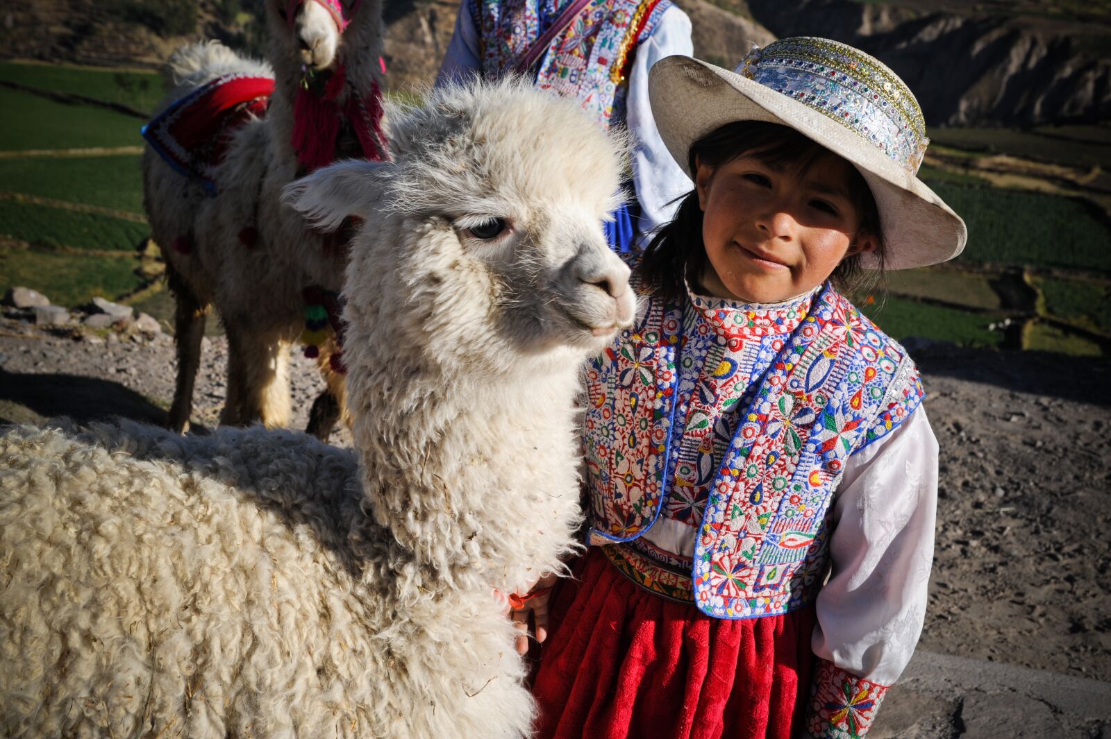 Nikon D700 sample photo. Peru, the colca valley photography