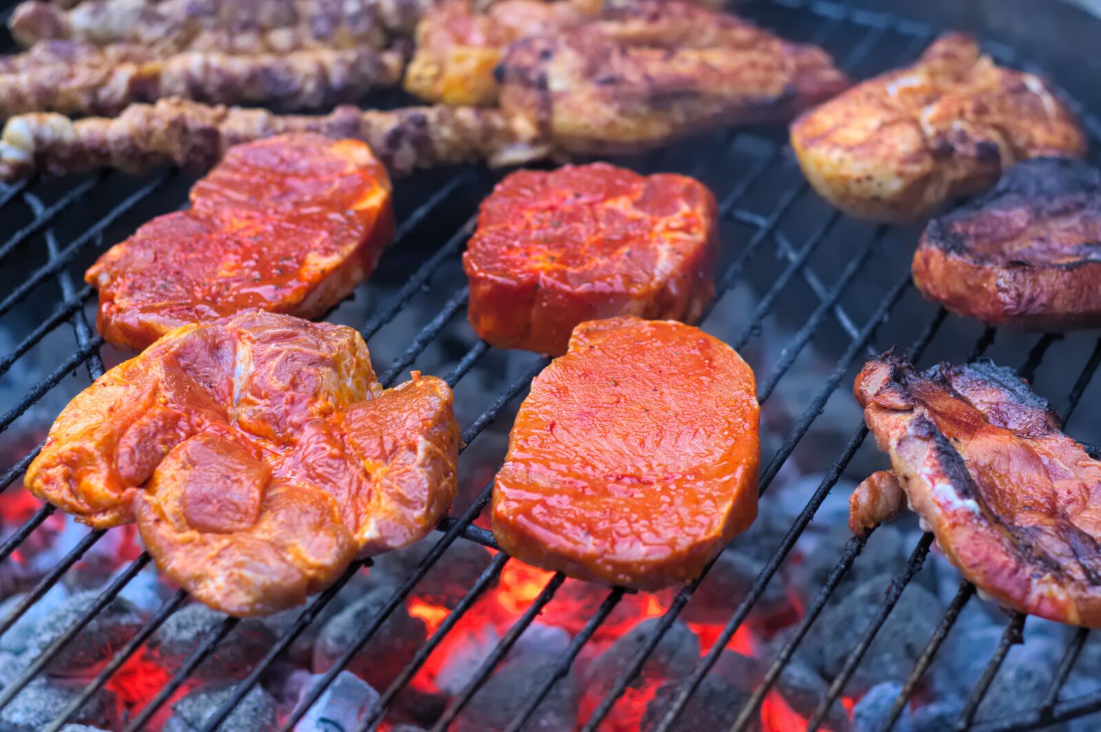 Canon EOS 40D sample photo. Barbecue, meat, sausage photography