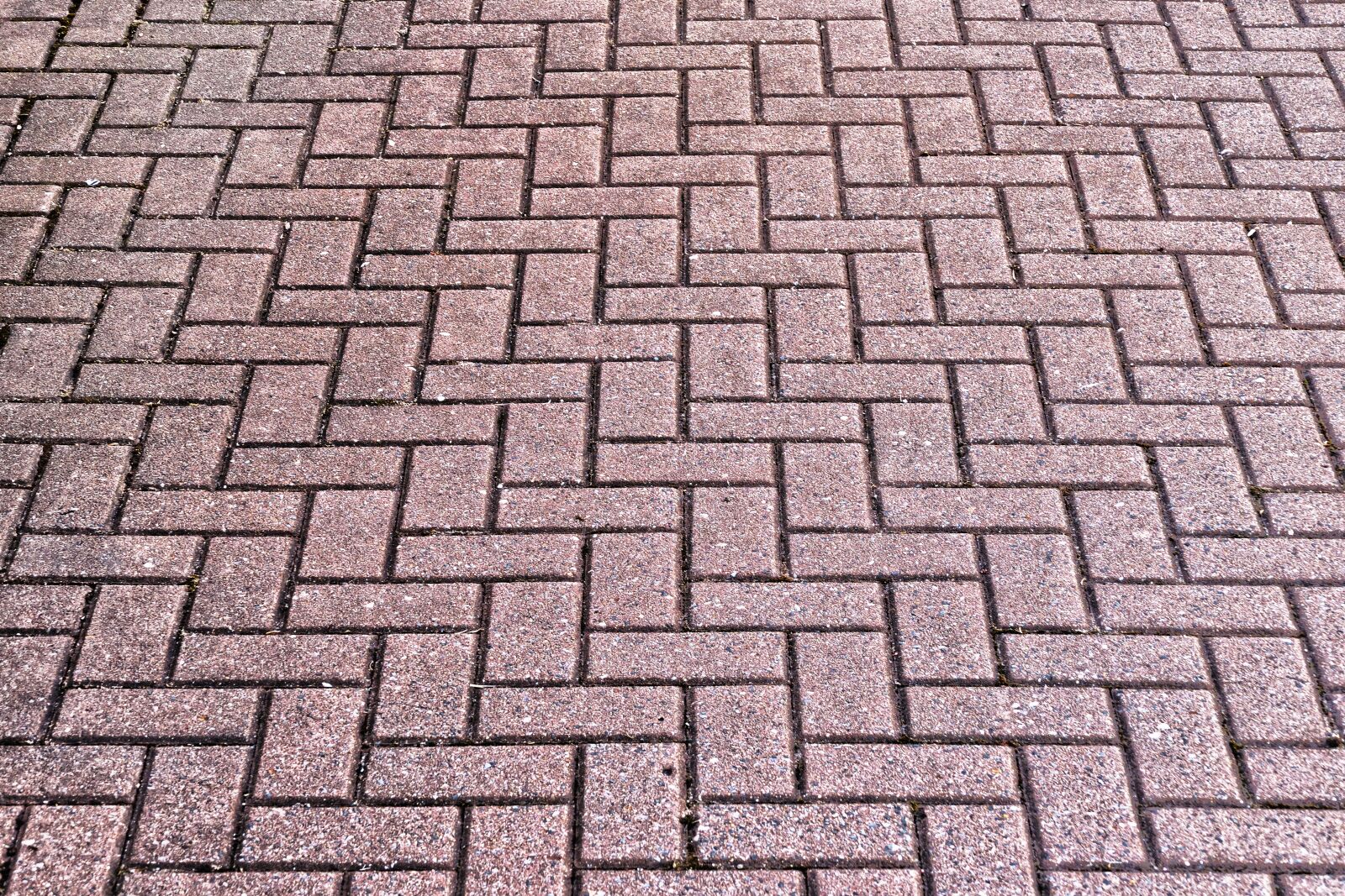 Panasonic Lumix DMC-FZ1000 sample photo. Patch, flooring, paving stones photography