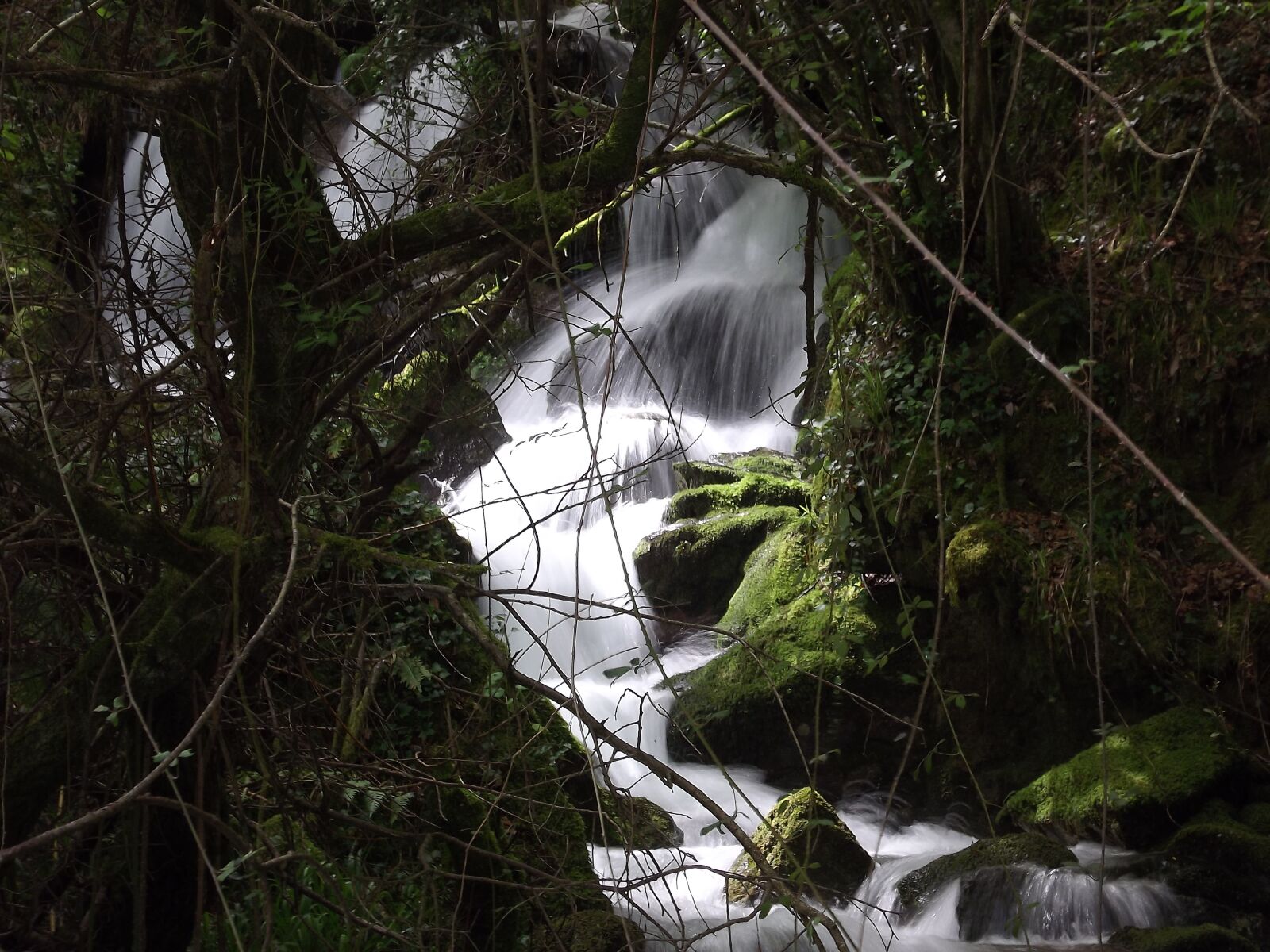 FujiFilm FinePix S4000 (FinePix S4050) sample photo. Ribeira, rio, mountain photography