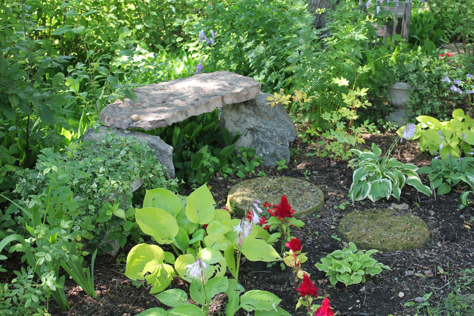 Canon EOS 550D (EOS Rebel T2i / EOS Kiss X4) sample photo. Garden, farm, greenery photography