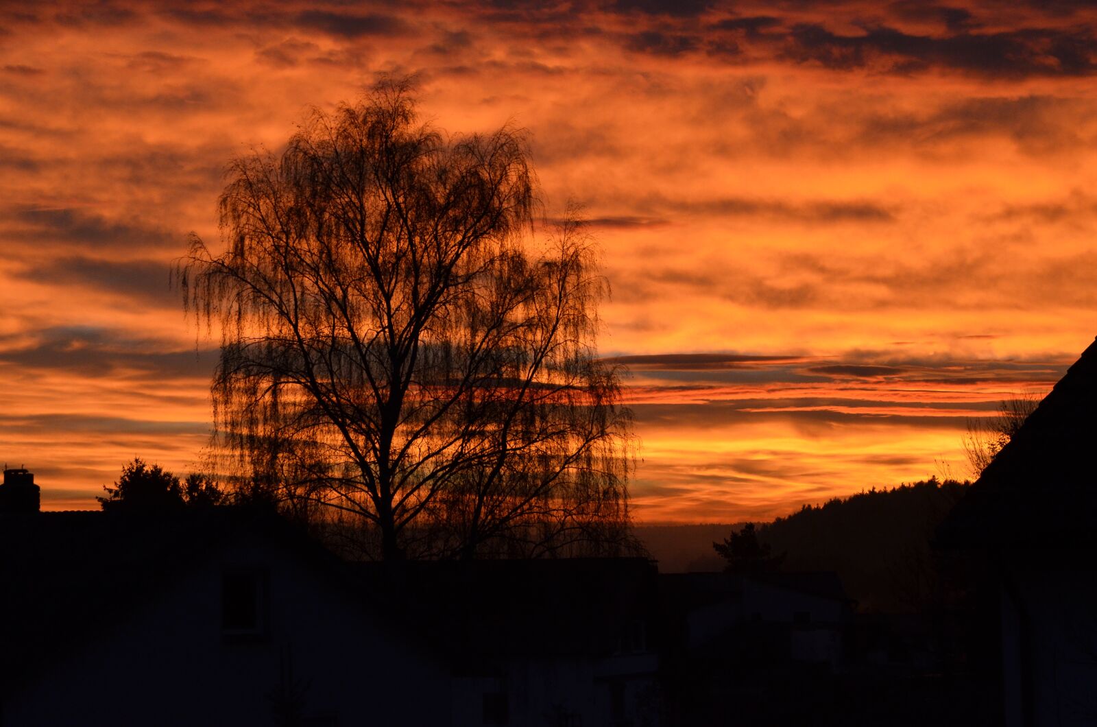 Nikon D7000 sample photo. Autumn, sunset, golden autumn photography