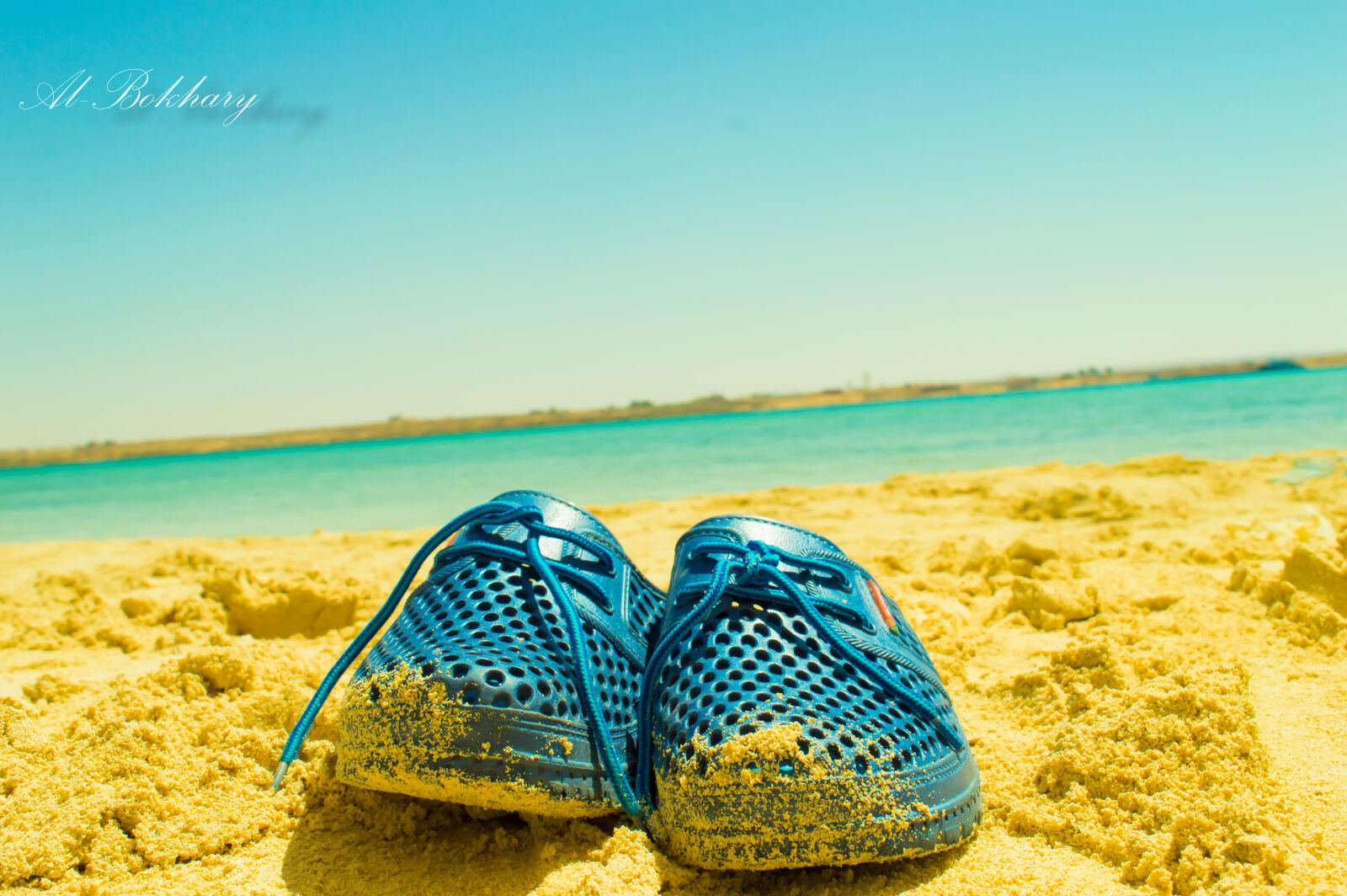 Nikon D3200 sample photo