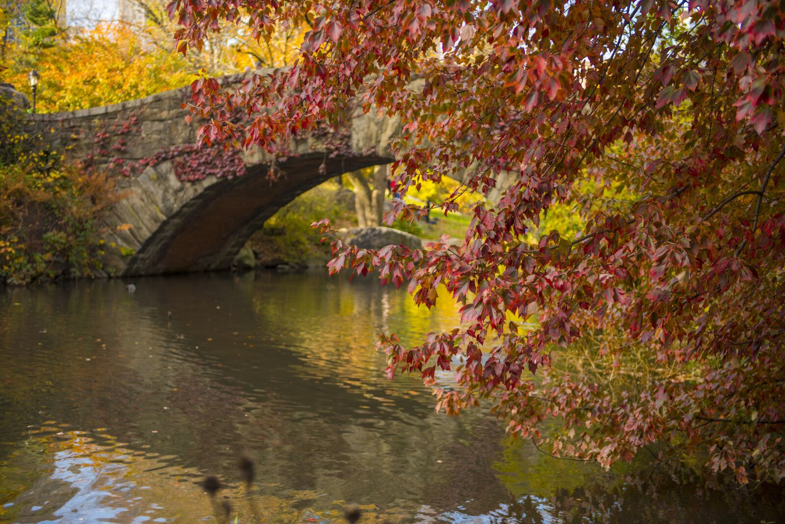 Nikon D810 sample photo. Bridge, nyc, river photography