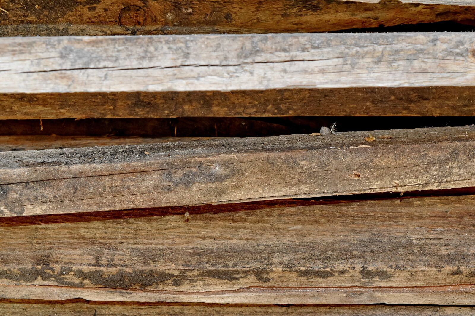 Nikon D5500 sample photo. Carpentry, old, wall, board photography
