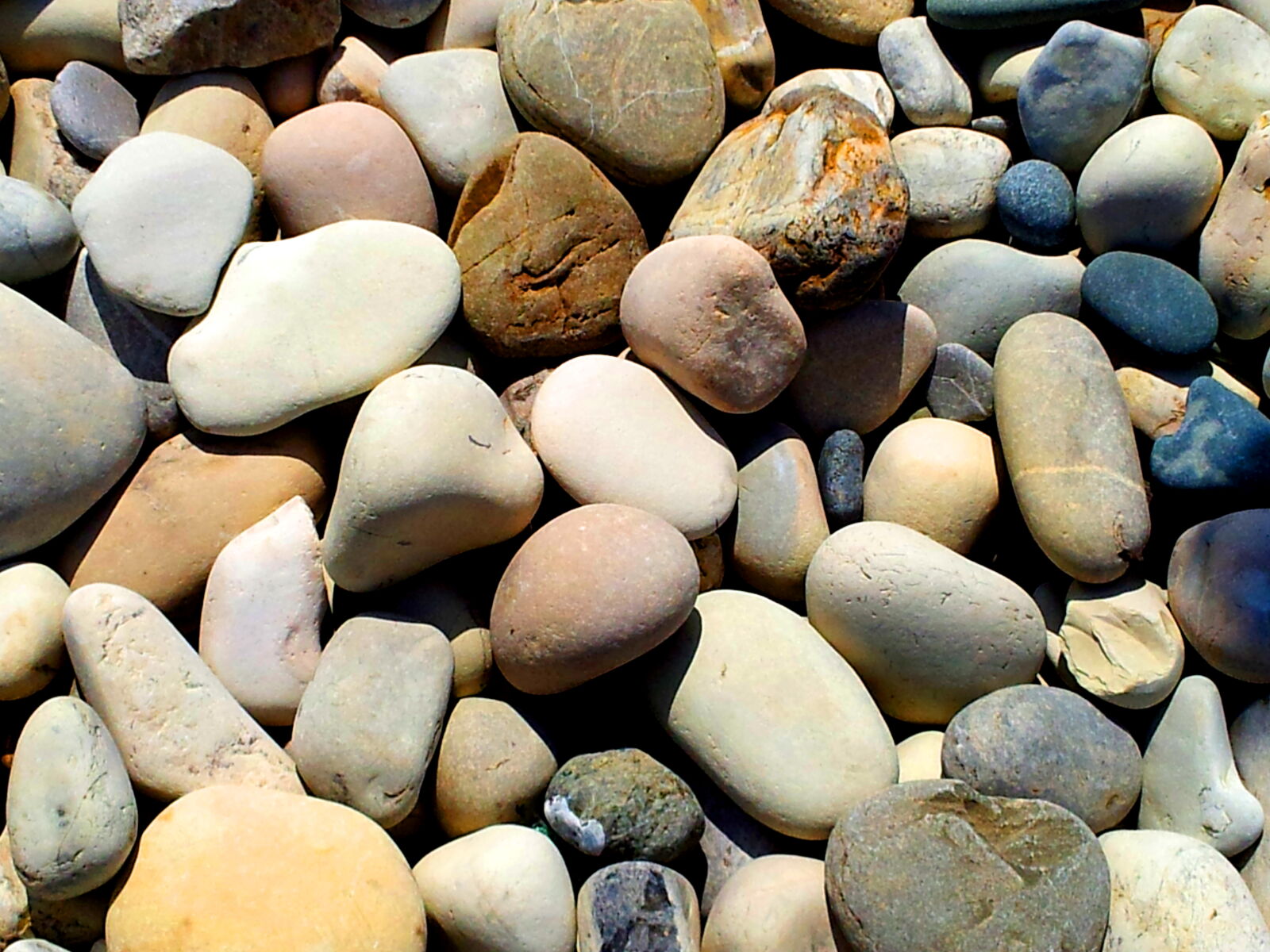 Samsung Galaxy S2 sample photo. Pebbles photography