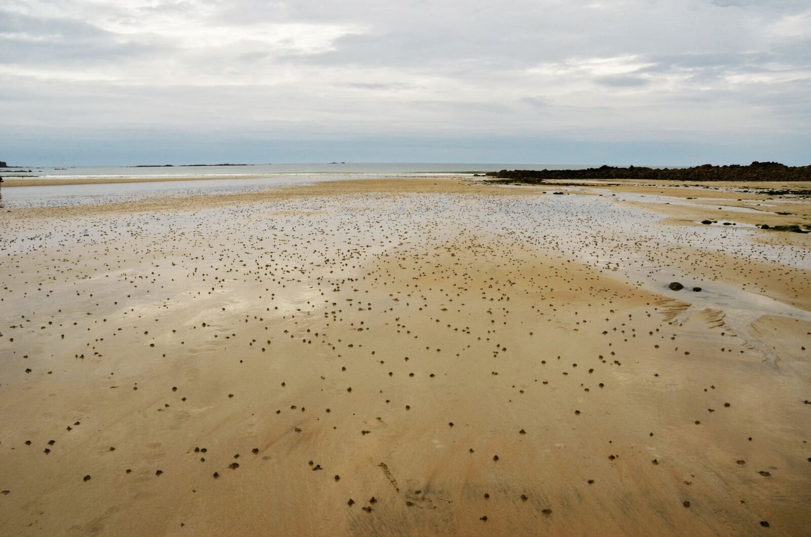 Nikon D7000 sample photo. Beach, sand, eb photography