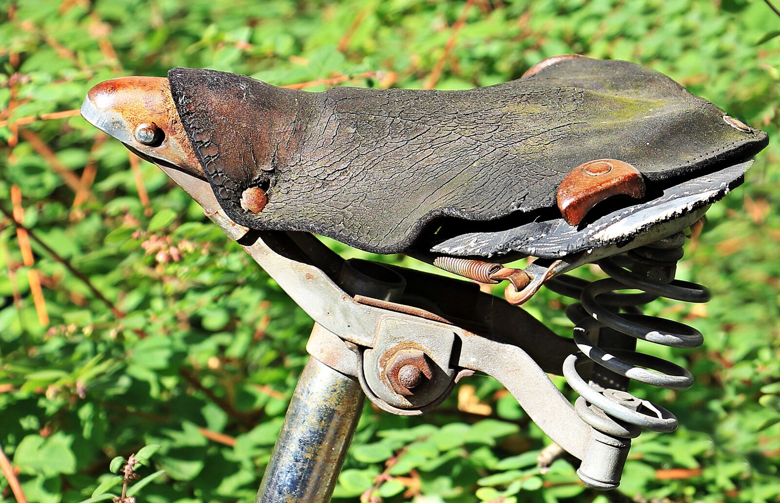 Canon EOS 550D (EOS Rebel T2i / EOS Kiss X4) sample photo. Bicycle saddle, bike, saddle photography