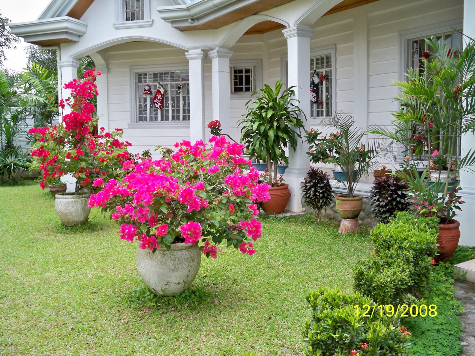 Kodak EasyShare M1033 sample photo. Pink flowers, front porch photography