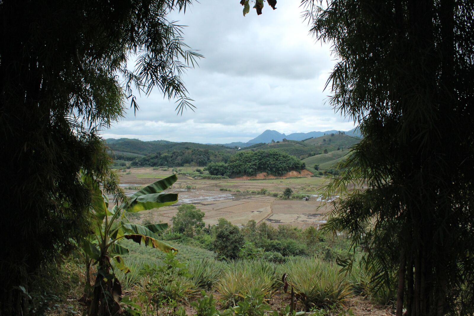 Canon EOS 600D (Rebel EOS T3i / EOS Kiss X5) sample photo. Chiangrai, nature, mountains photography