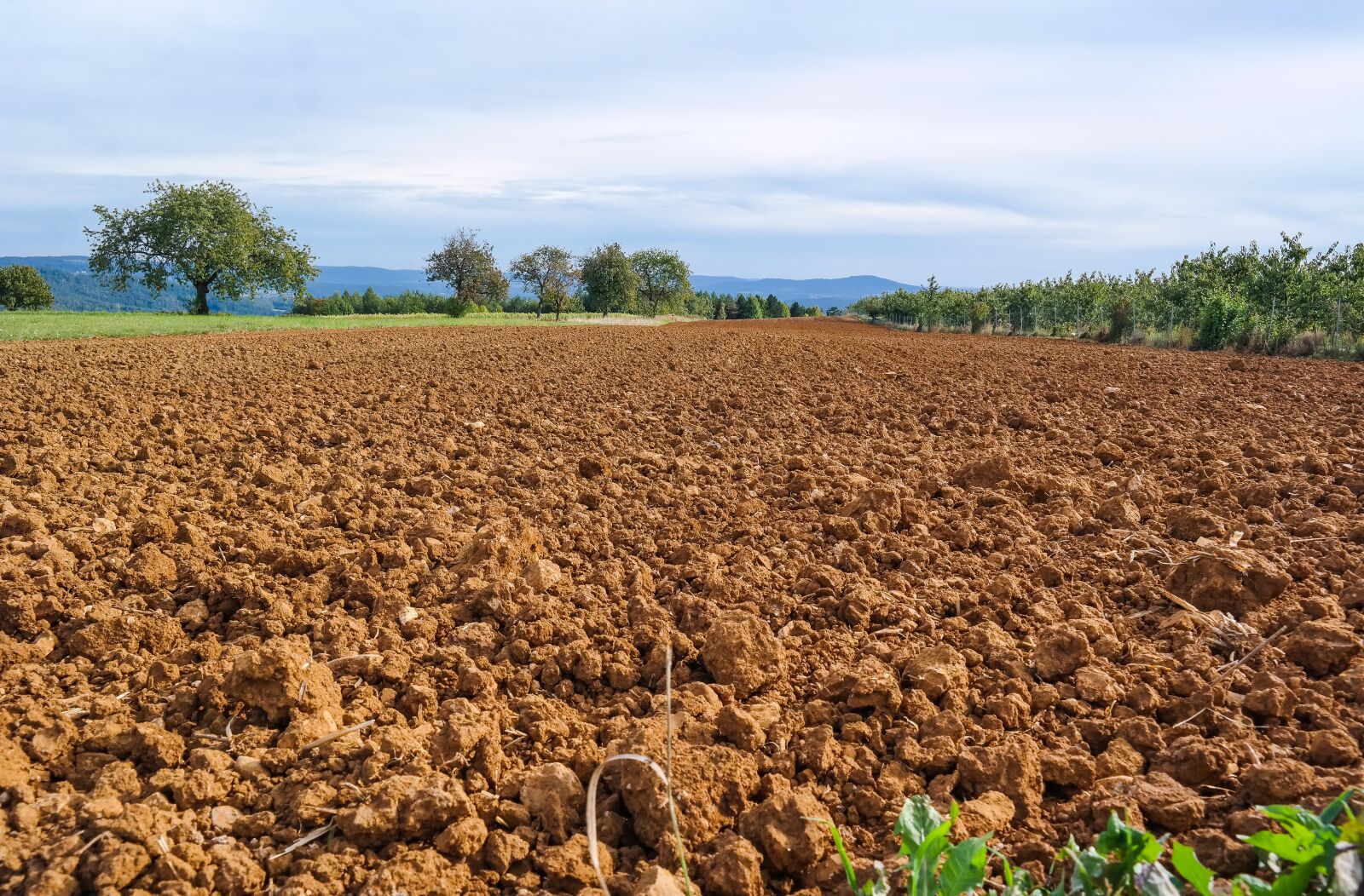 Samsung NX300 sample photo. Arable, earth, field photography