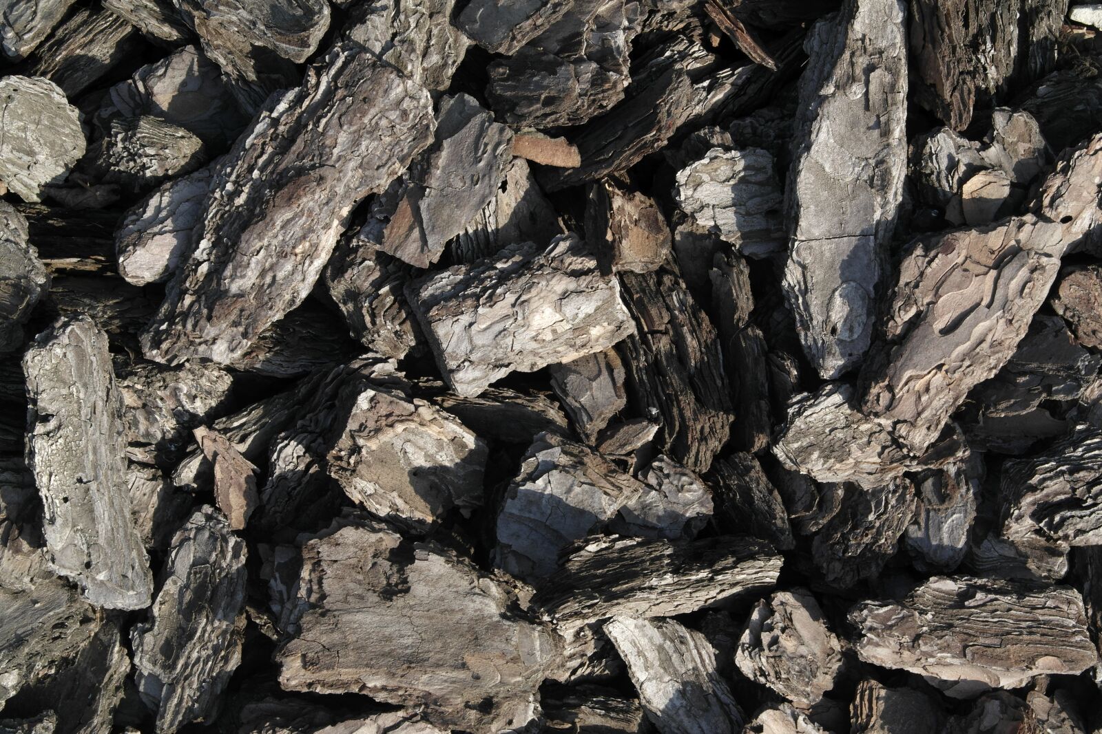 Samsung NX1000 sample photo. Texture, firewood, bark photography