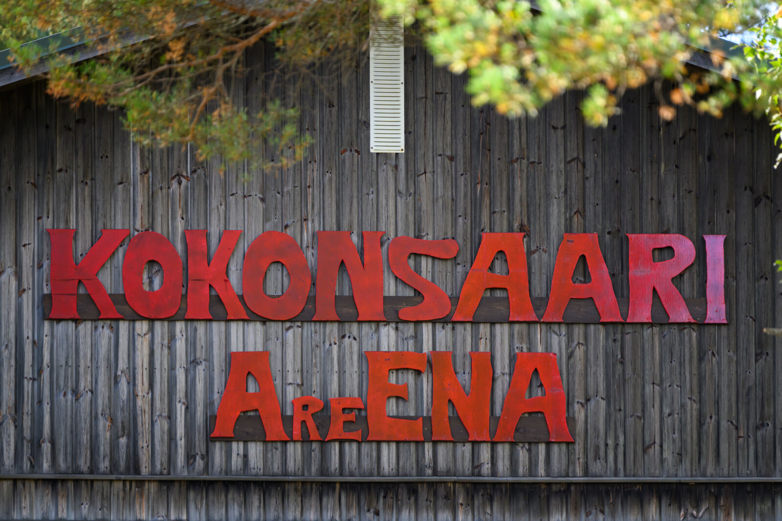 Nikon Z8 sample photo. Local arena photography
