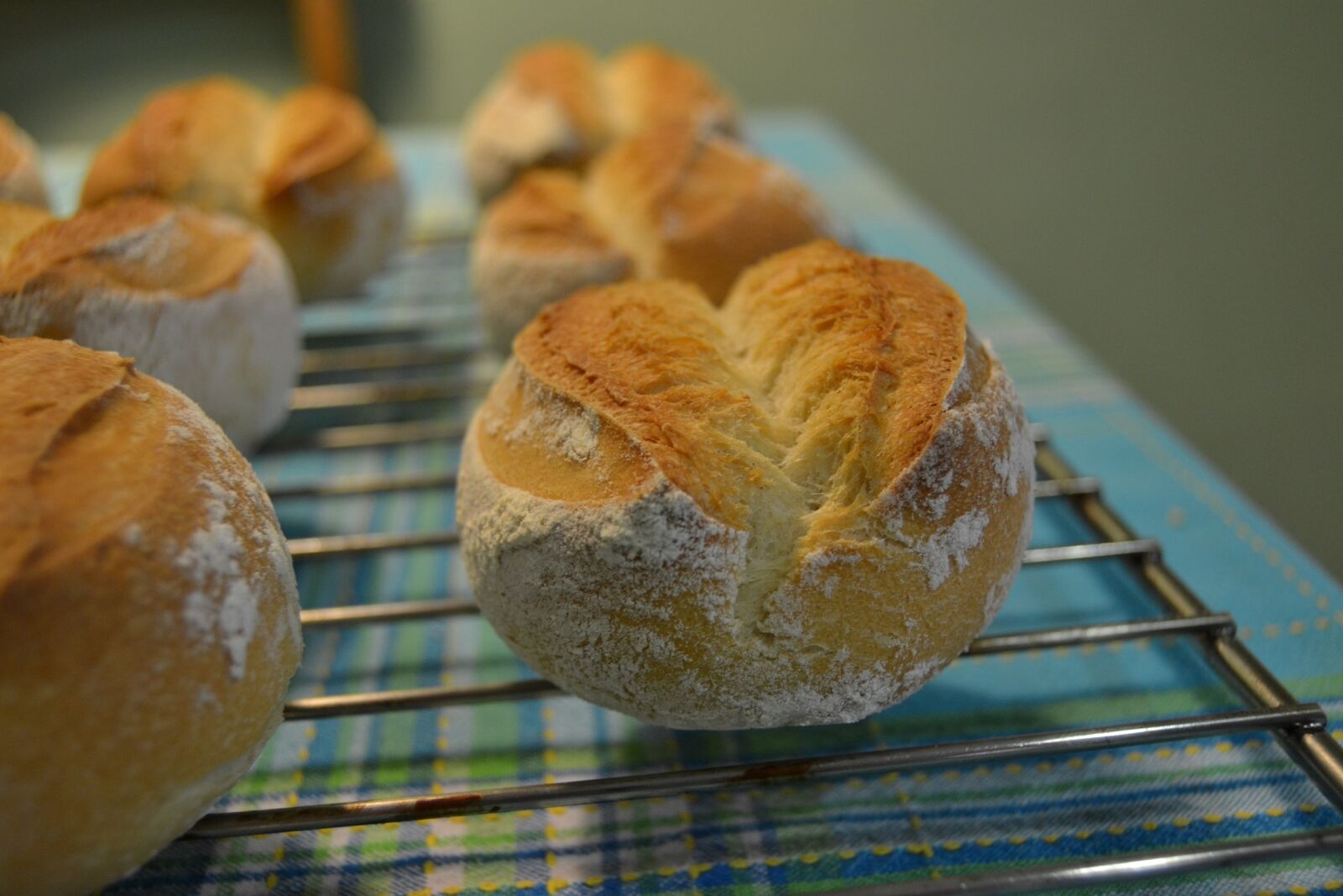 Nikon D3100 sample photo. Bread, homemade bread, artisan photography