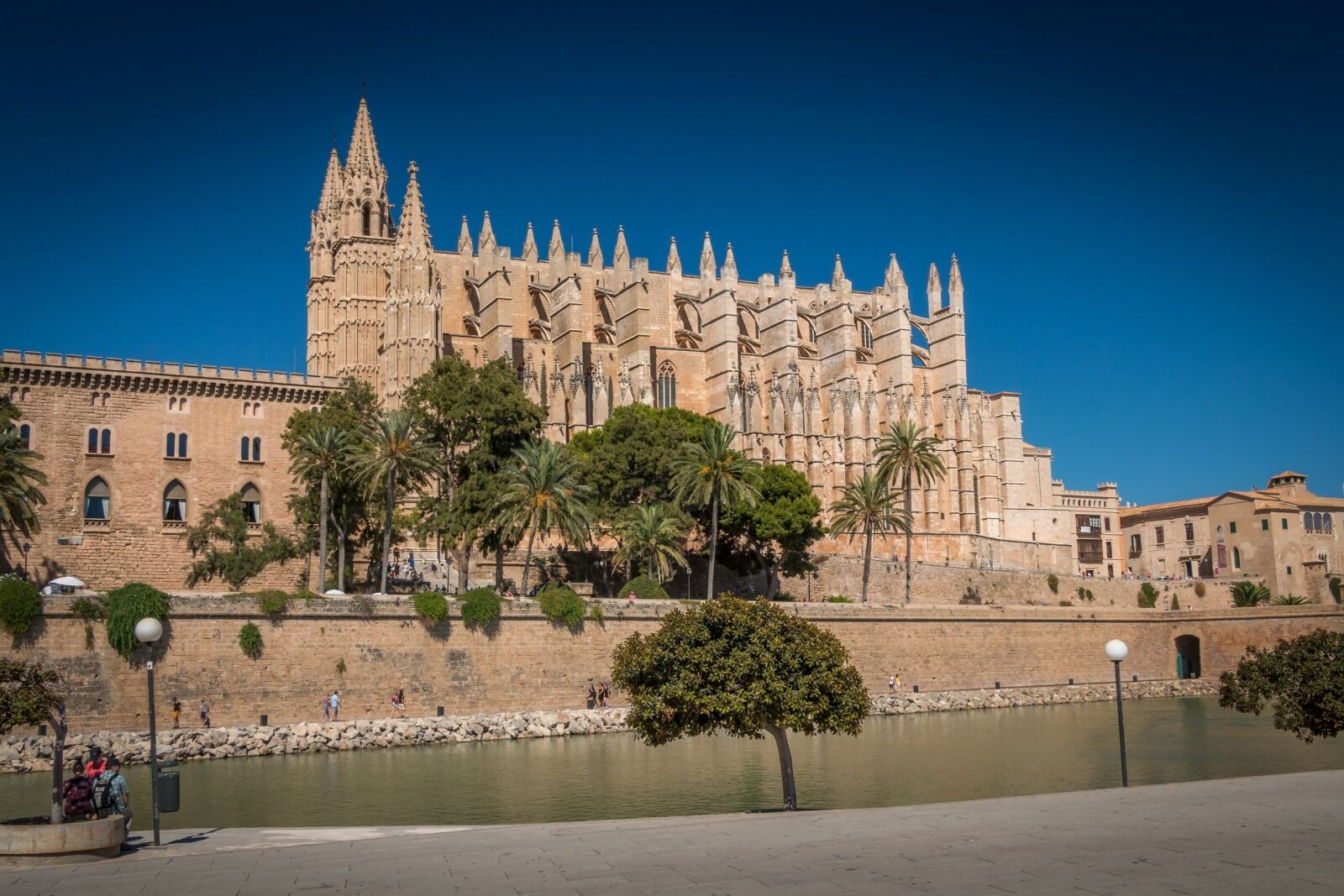 Canon EOS 70D sample photo. Palma, majorca, cathedral photography