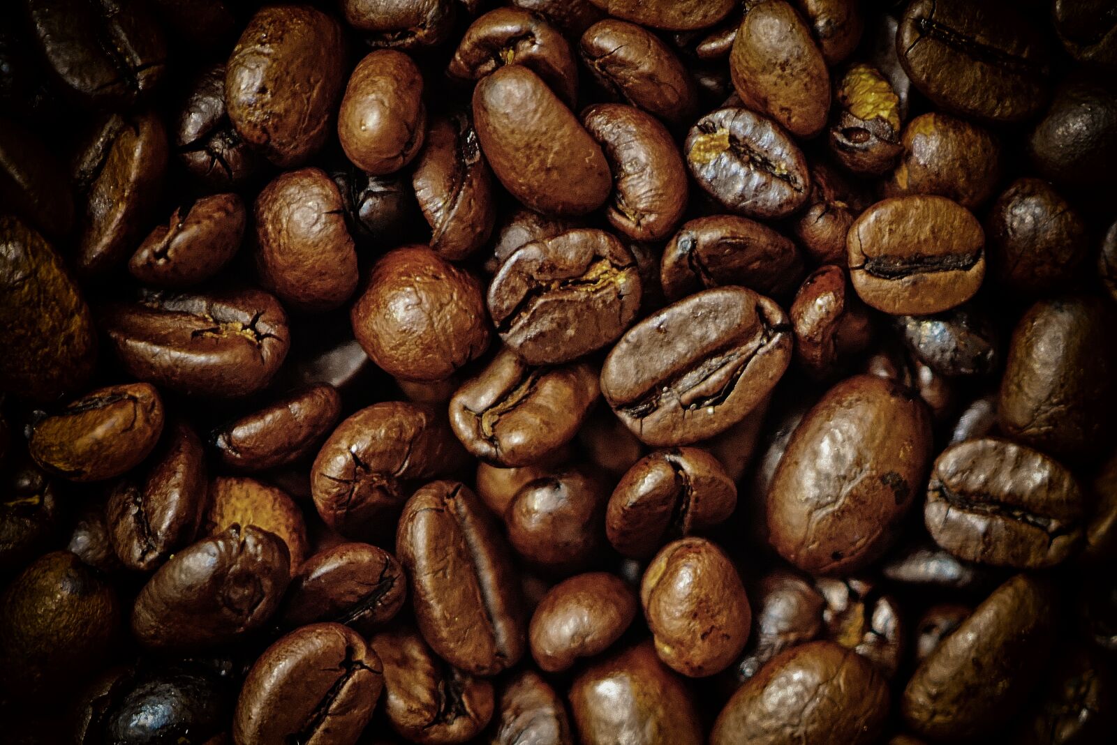 Nikon D7200 sample photo. Coffee beans, coffee, caffeine photography