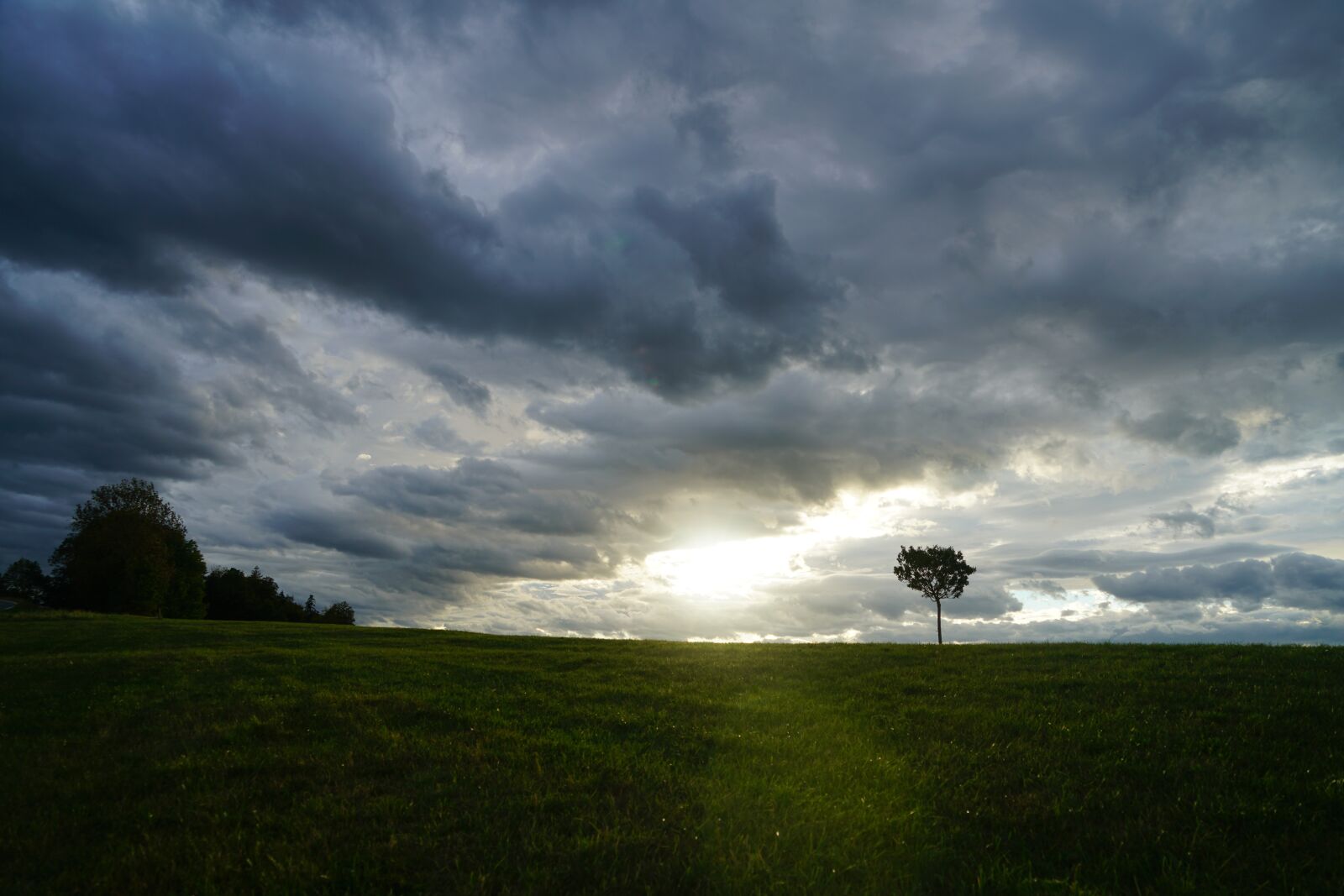Sony a7R II + Sony FE 24-240mm F3.5-6.3 OSS sample photo. Tree, clouds, forward photography
