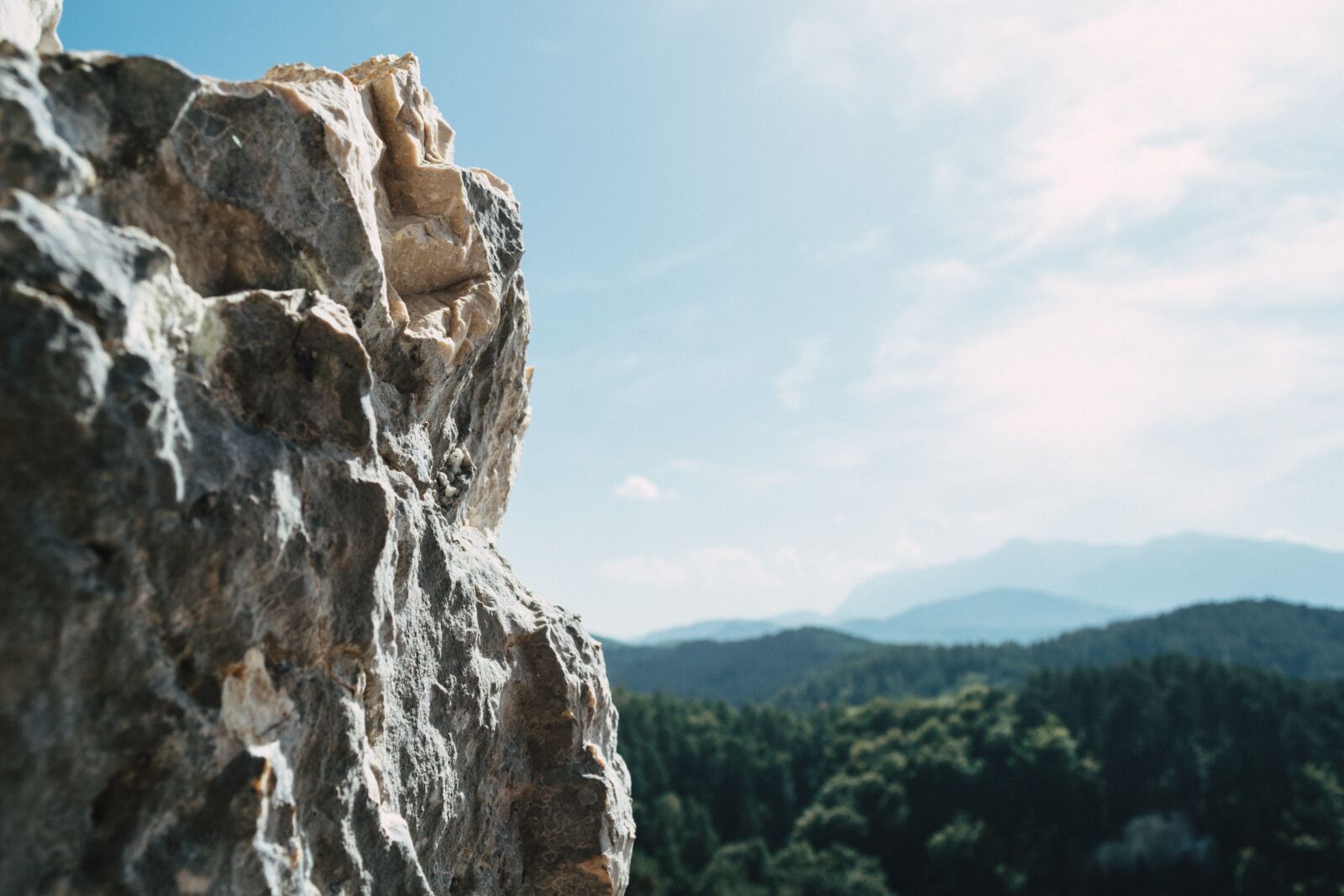 Nikon D3100 sample photo. Nature, architecture, brasov photography