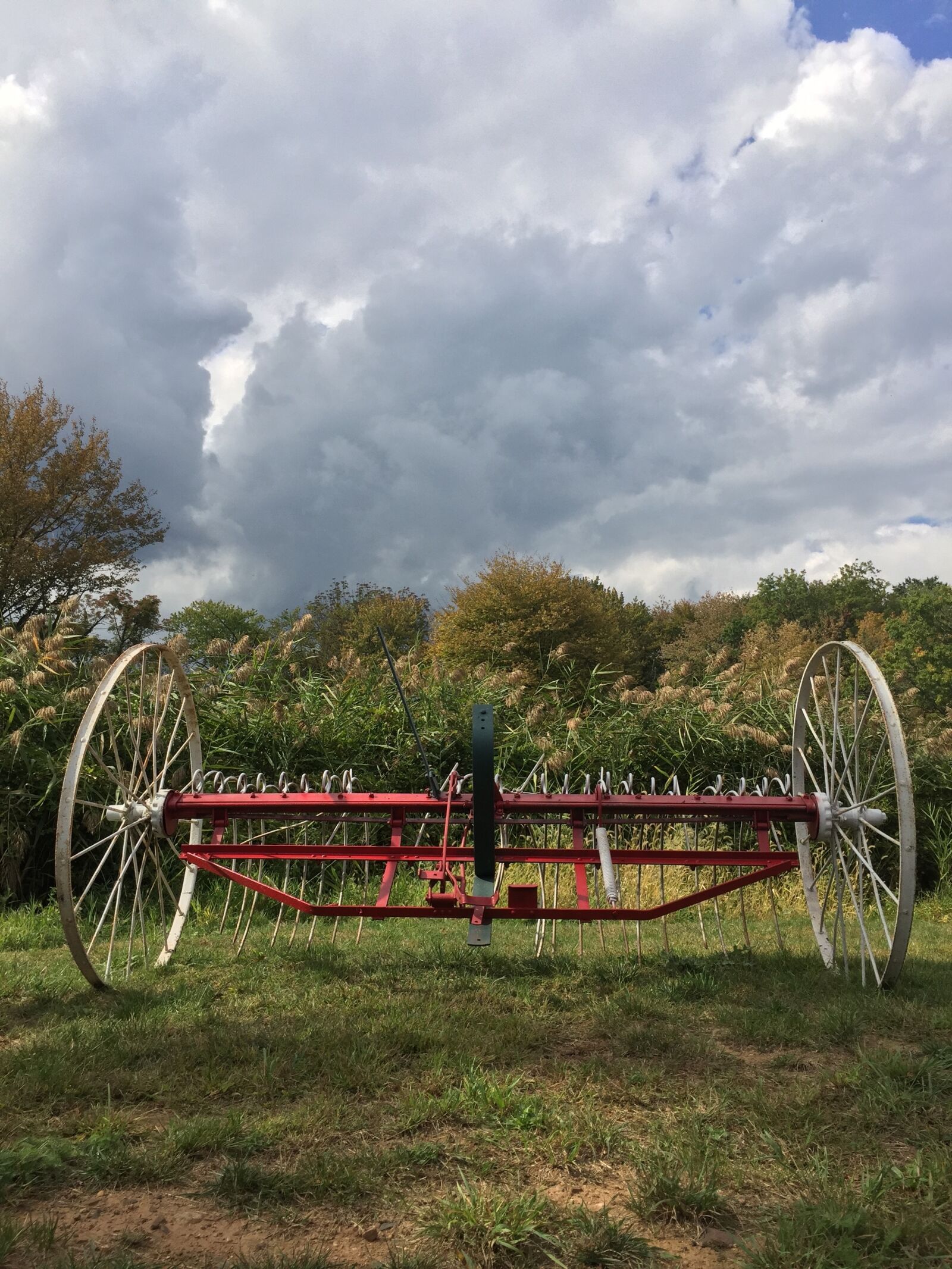 iPhone 6 Plus back camera 4.15mm f/2.2 sample photo. Vintage farm equipment, 1776 photography
