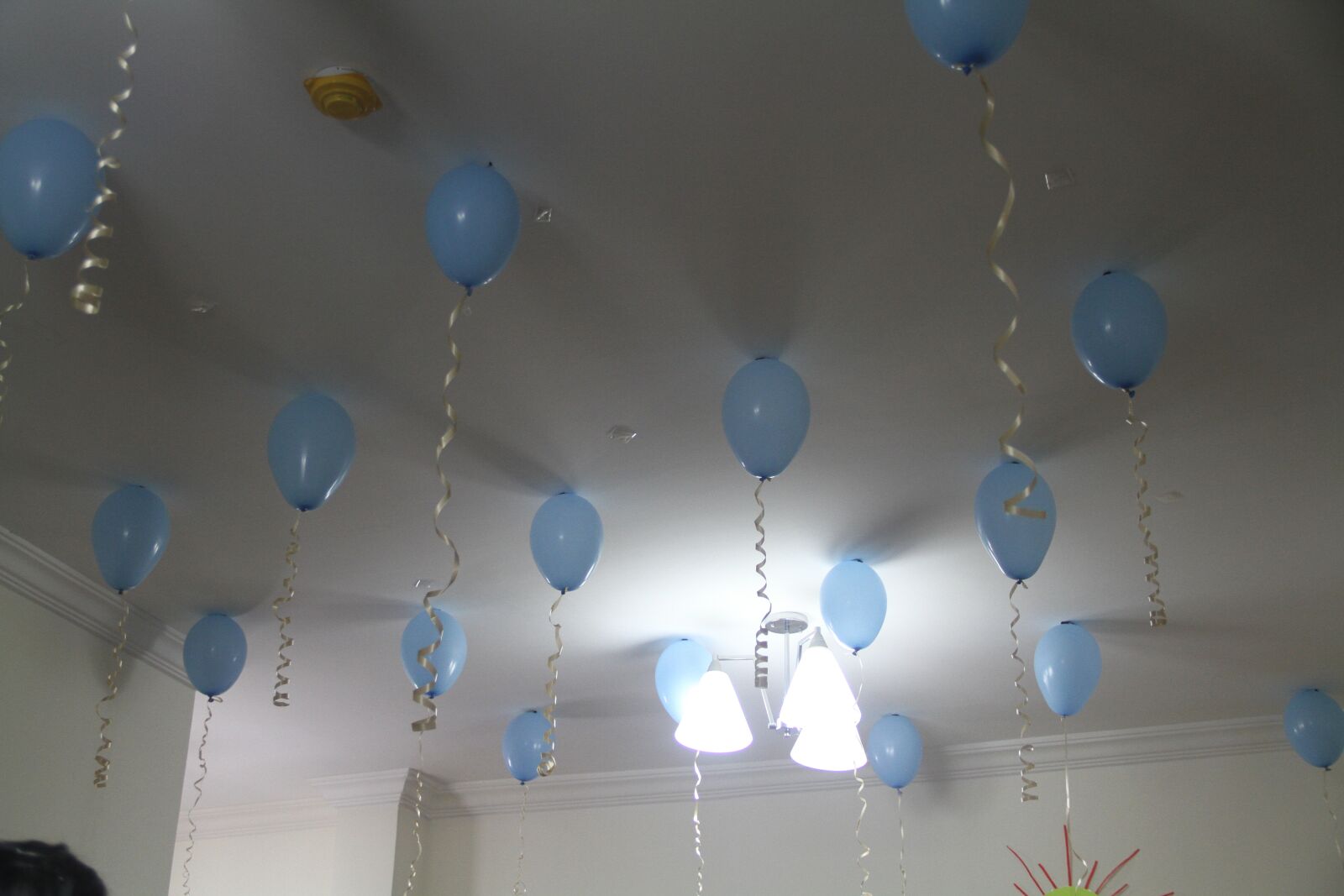 Canon EOS 7D sample photo. Balloons, party, celebration photography