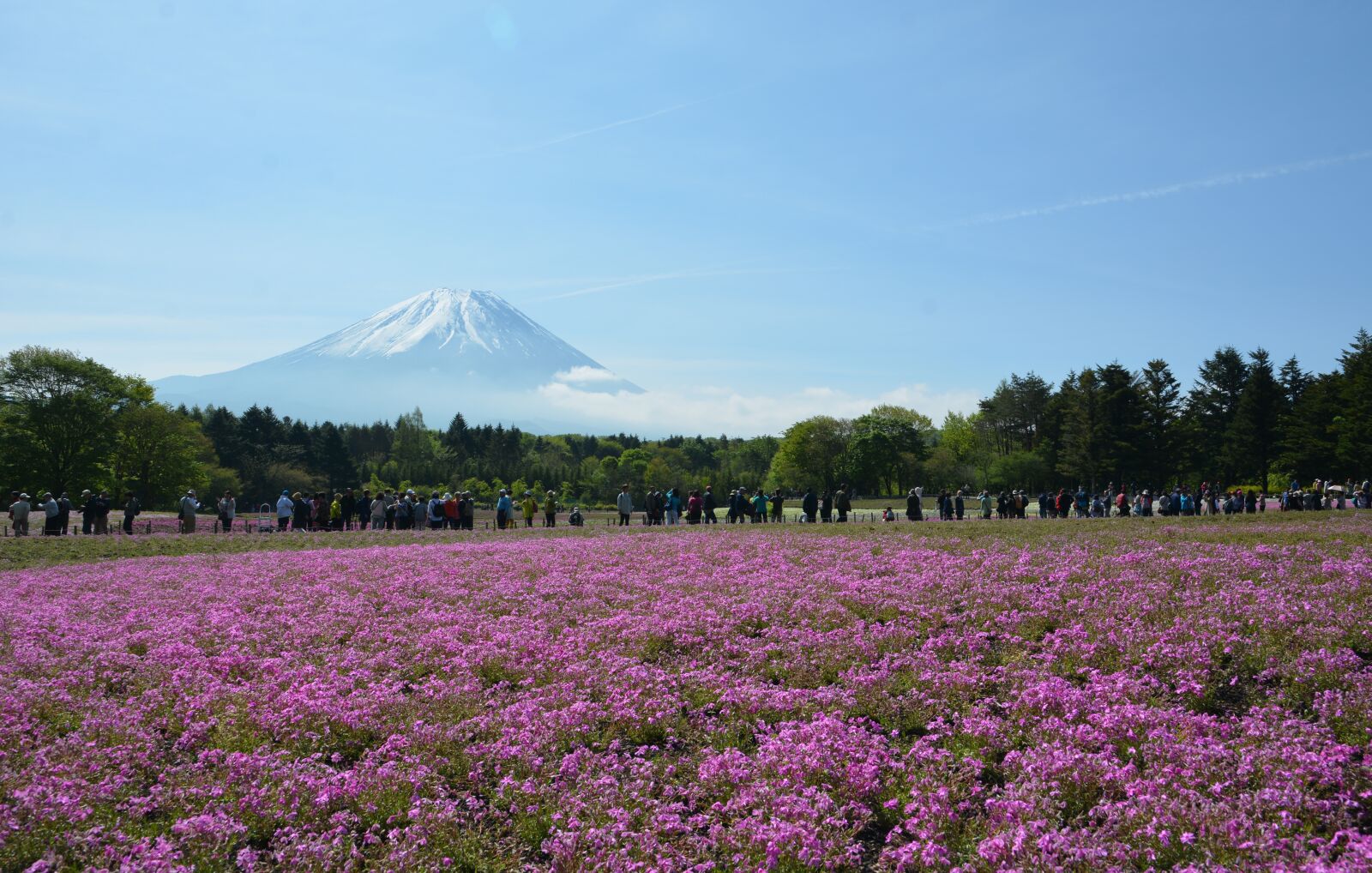 Nikon D7100 sample photo. Fuji, mother photography