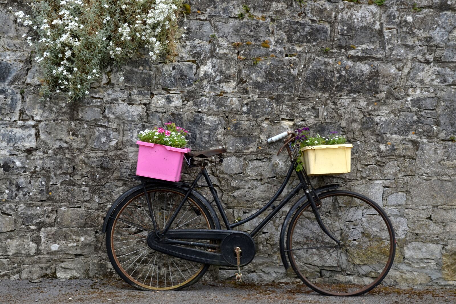 Nikon D5100 sample photo. Bike, wheel, flowers photography