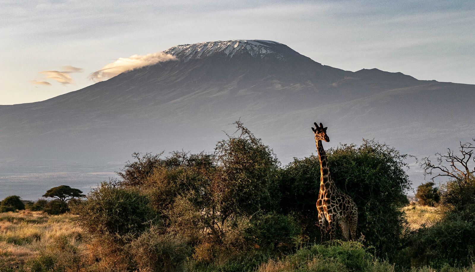 Canon EOS 80D sample photo. Africa, kenya, safari photography