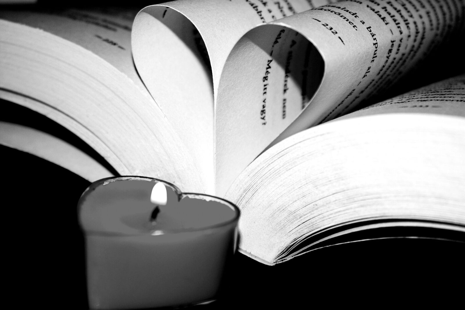 Nikon D3400 sample photo. Book, heart, candle flame photography