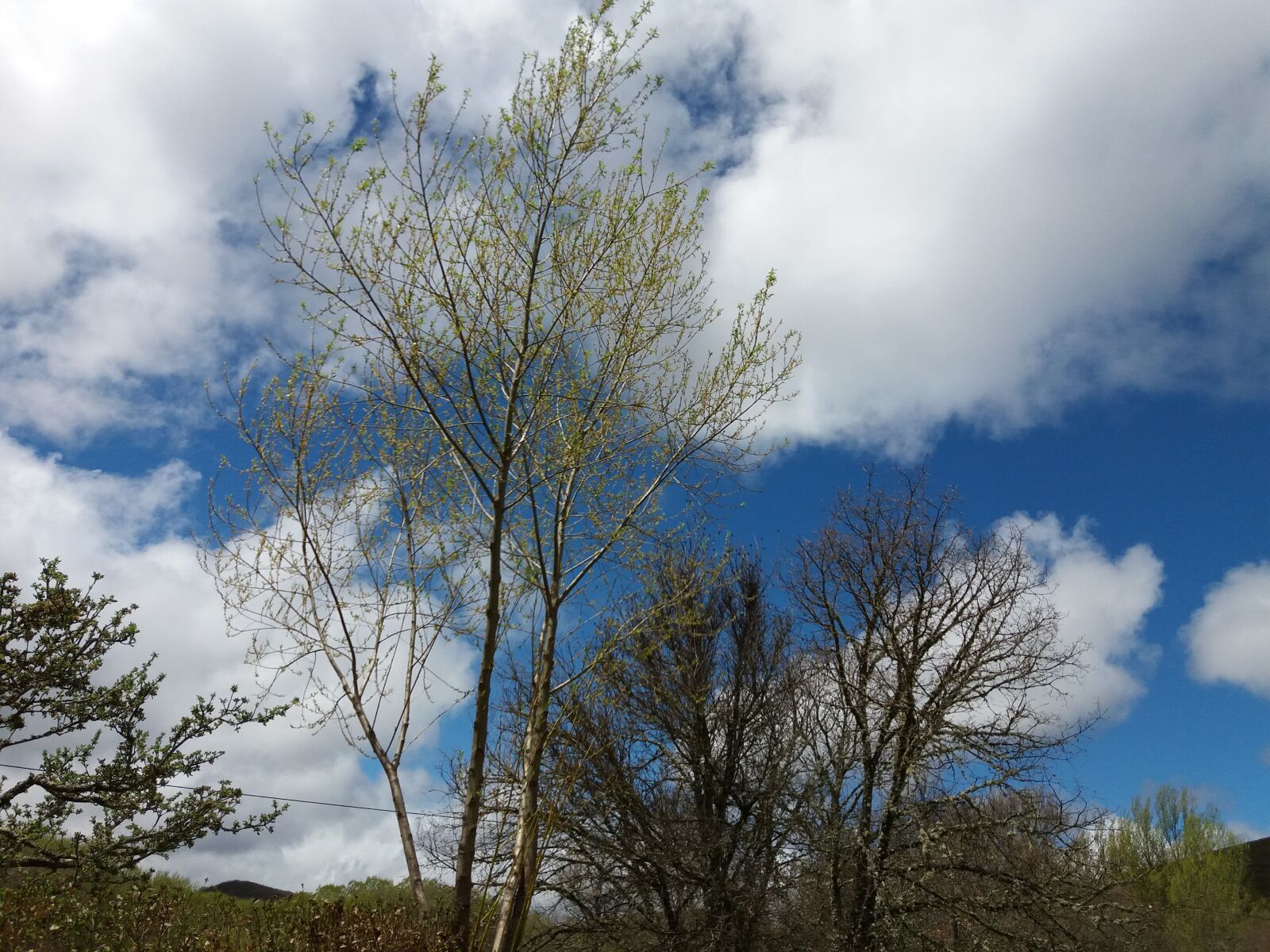 Samsung Galaxy J5(2016) sample photo. Clouds, trees, landscape photography