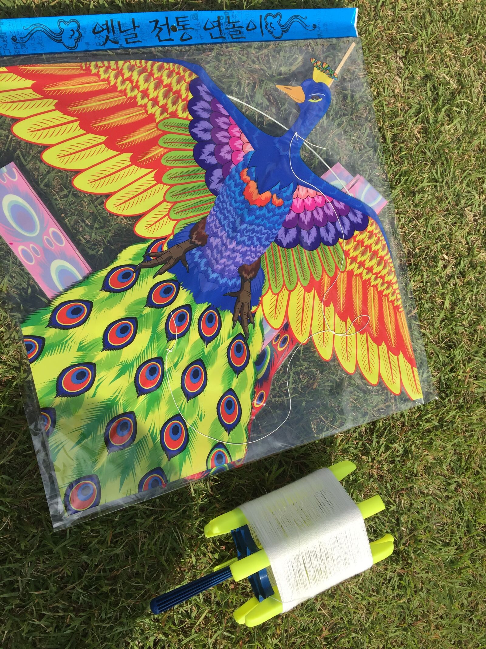 iPhone 6 Plus back camera 4.15mm f/2.2 sample photo. Kite, suwon hwaseong photography