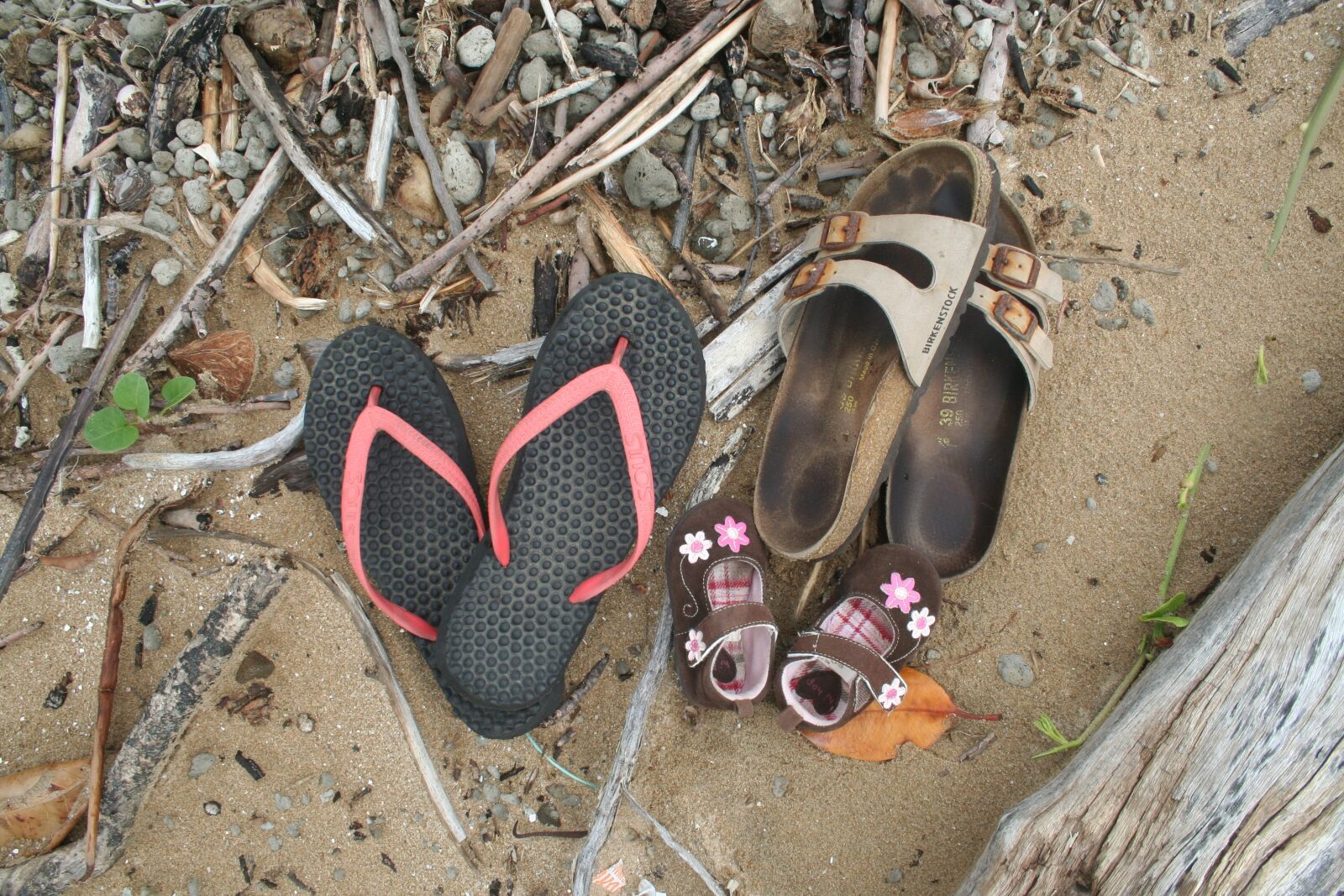 Canon EOS 350D (EOS Digital Rebel XT / EOS Kiss Digital N) sample photo. Nature, wood, sand photography