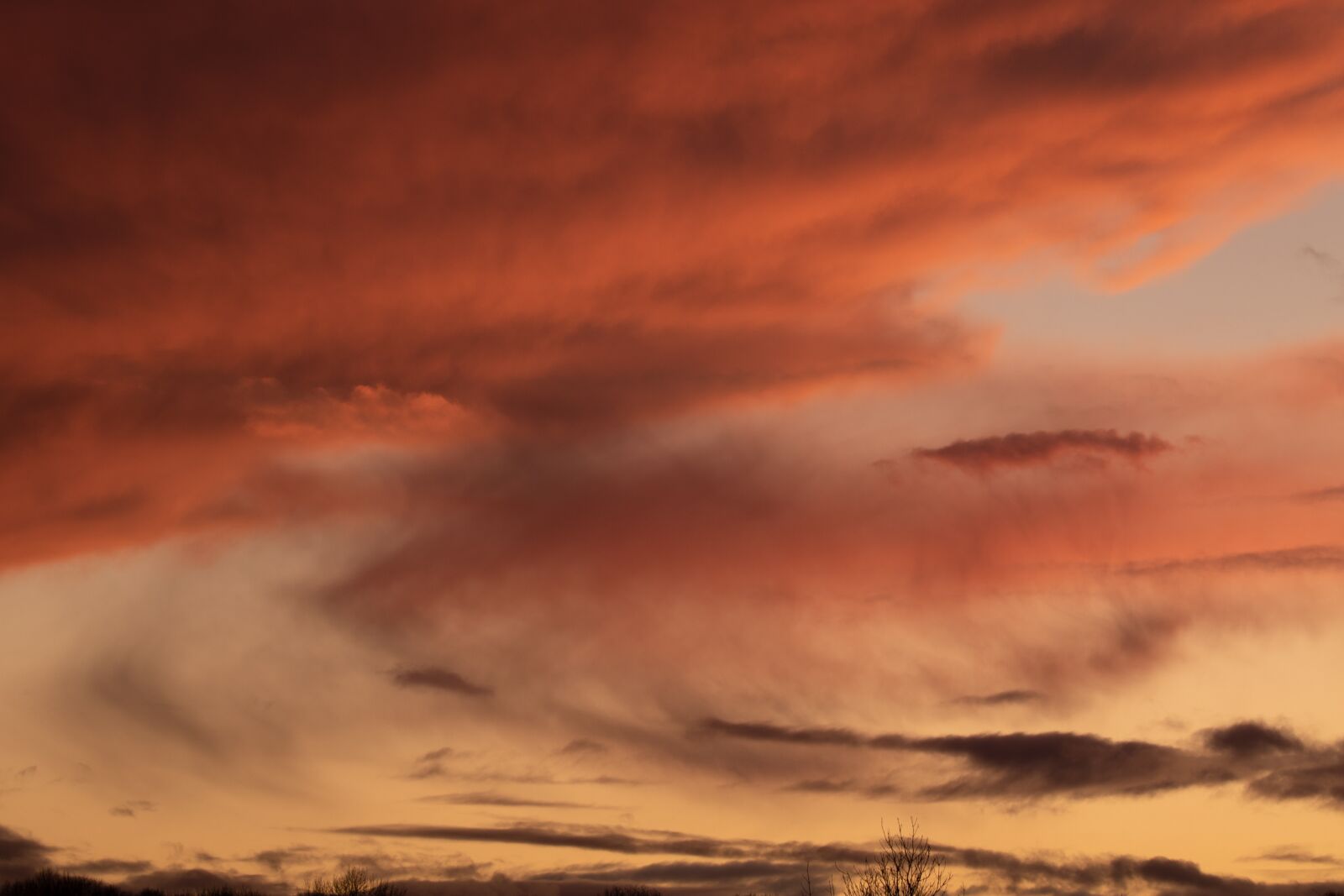 Canon EOS 7D Mark II sample photo. Sunset, clouds, orange photography