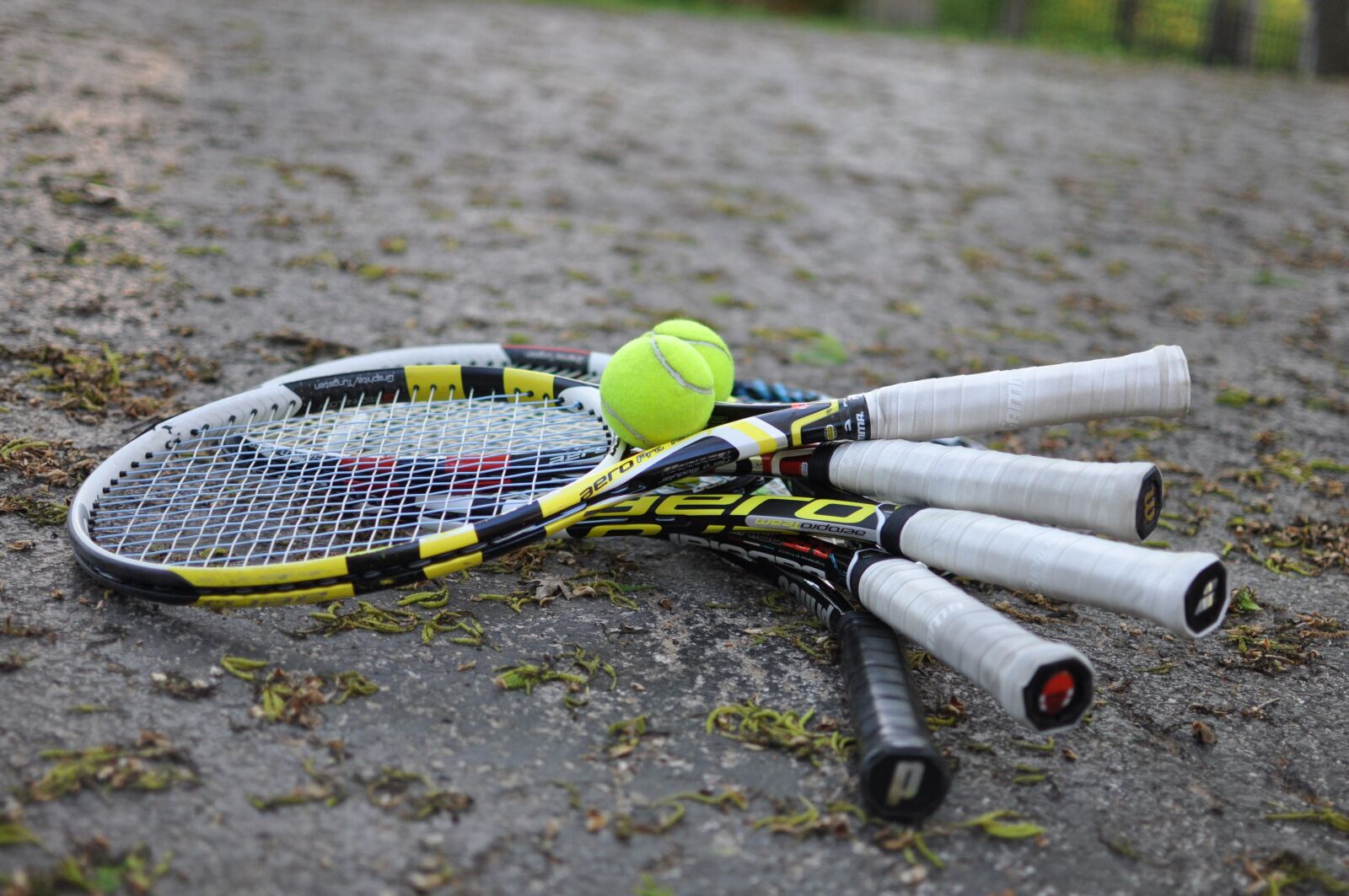 Nikon D90 sample photo. Tennis, racquet, sports photography