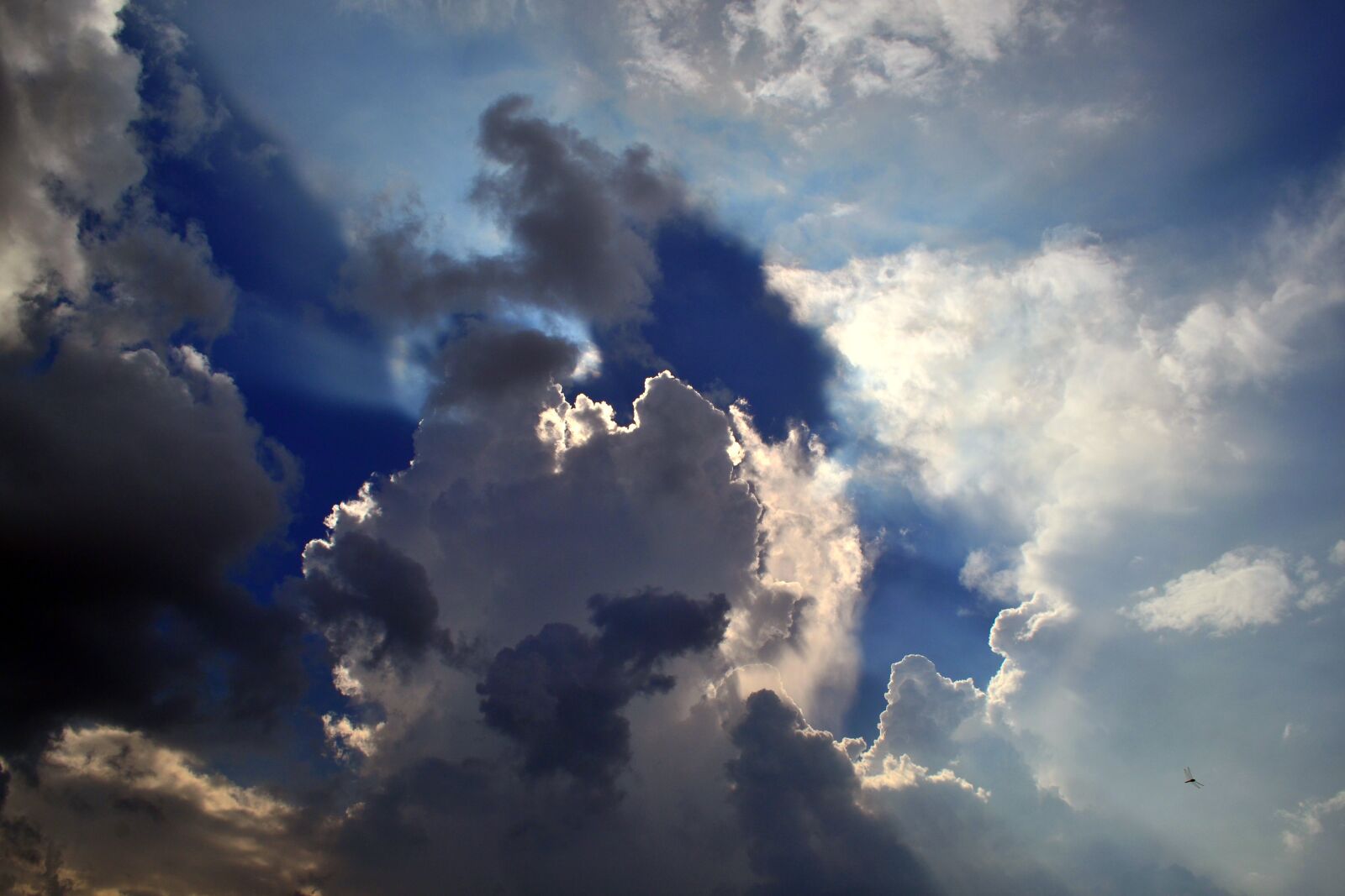 Nikon D3100 sample photo. Sky, dark, cloudy photography