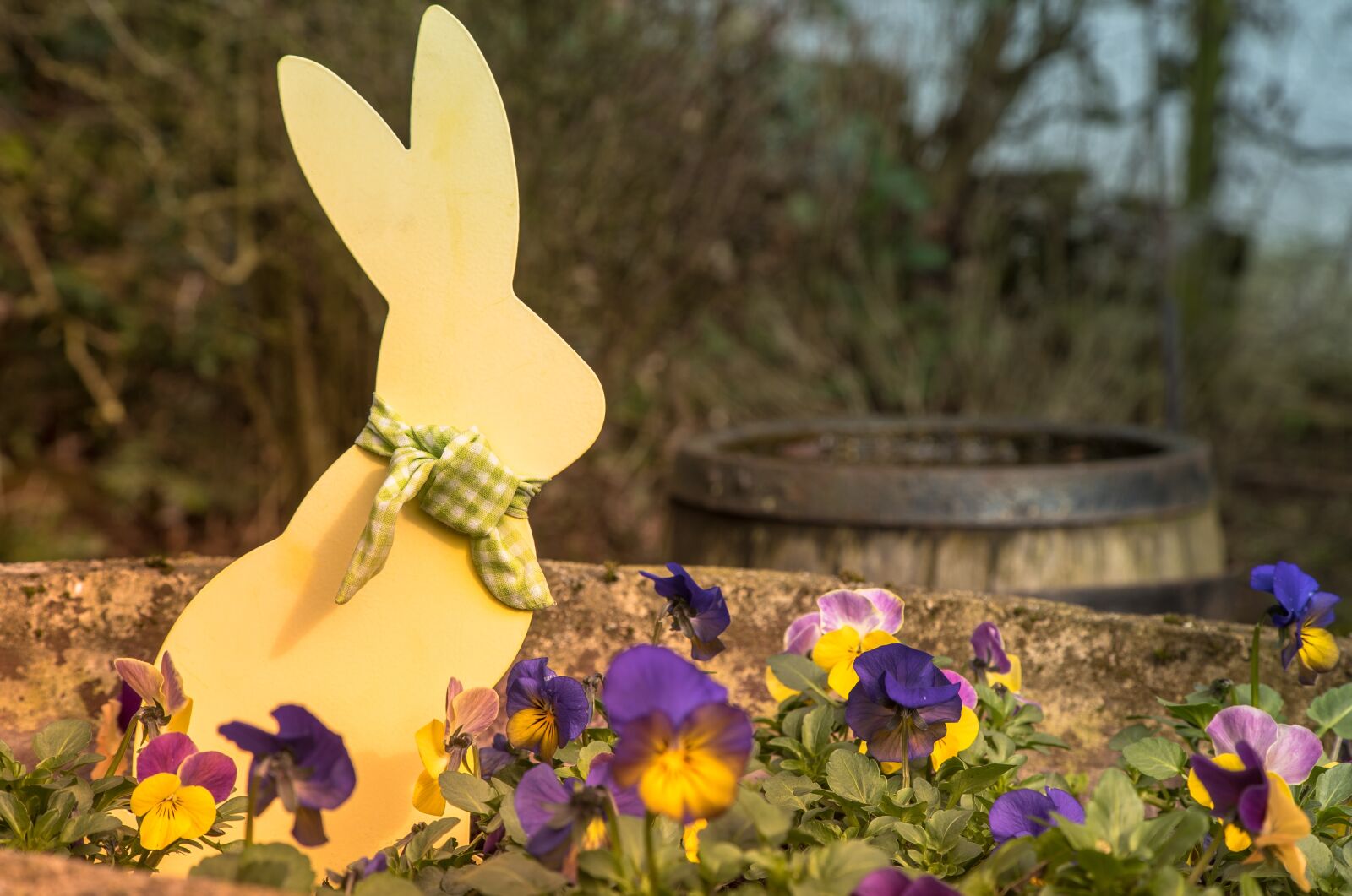 Sony a7S II + Sony DT 50mm F1.8 SAM sample photo. Easter, easter bunny, hare photography