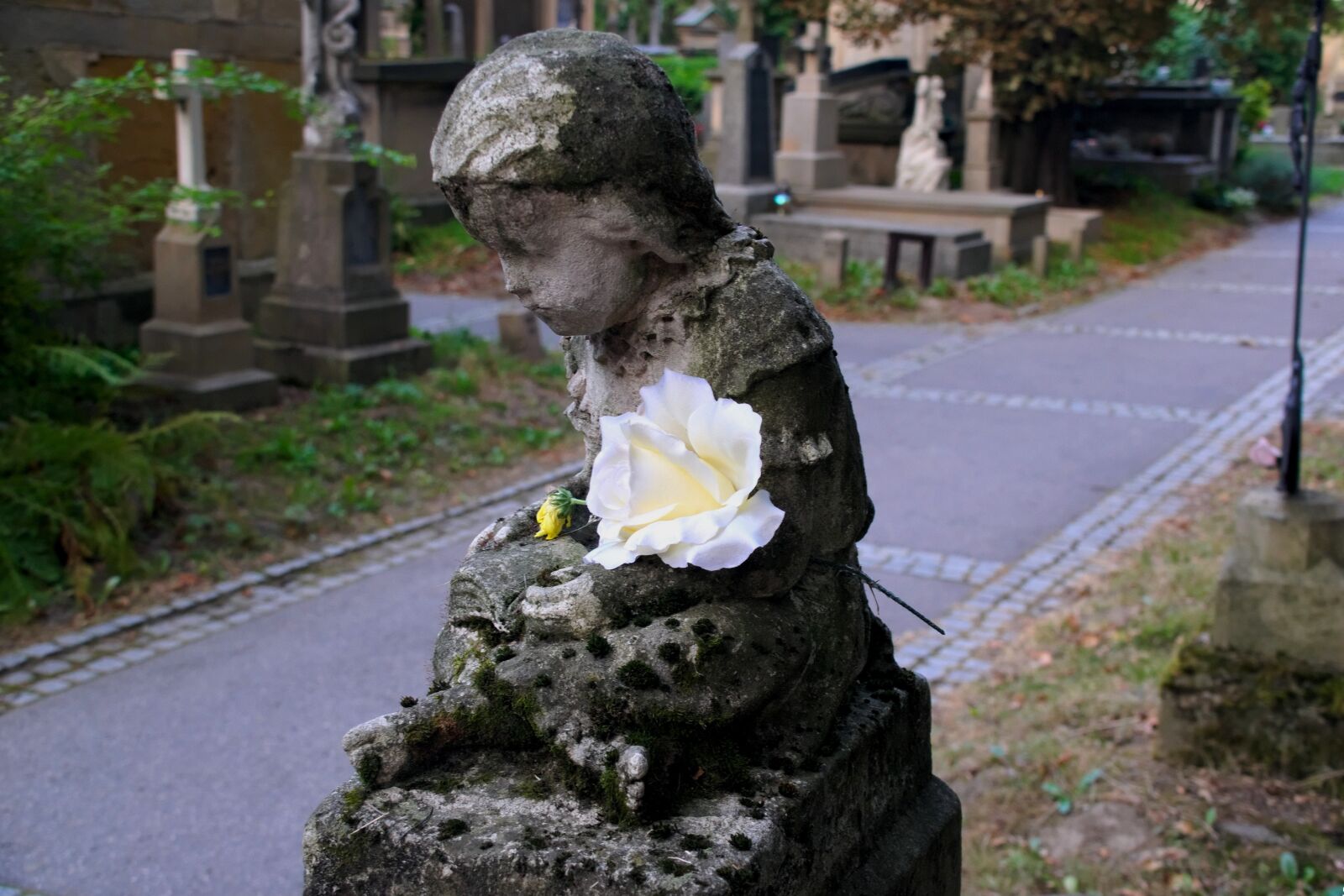 Nikon D3300 sample photo. Cemetery, child, memory photography