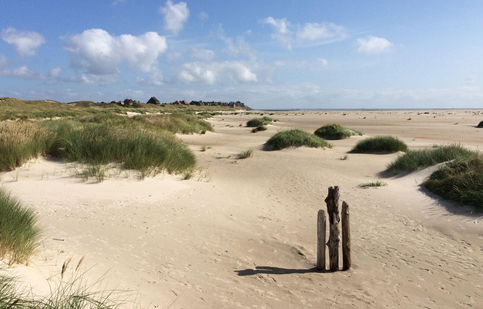 iPhone 5s back camera 4.15mm f/2.2 sample photo. Amrum, sand, landscape photography
