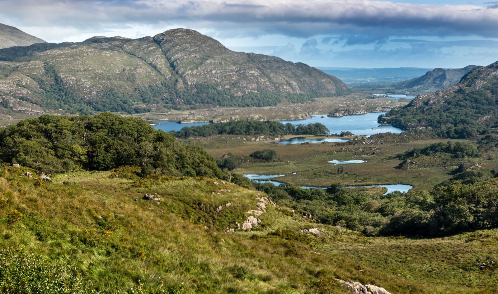 Sony a7R III sample photo. Cork, ireland, irish photography