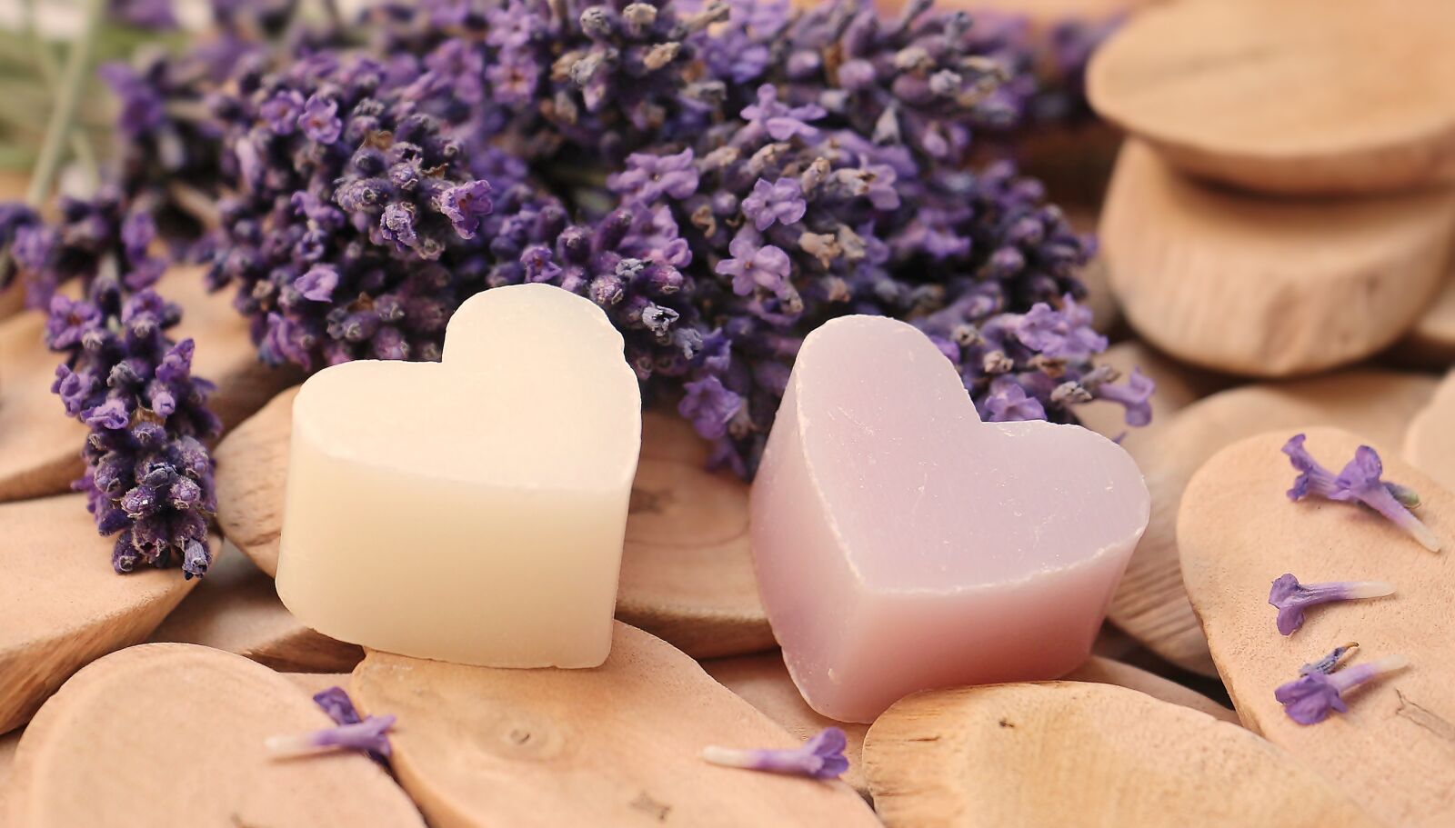 Canon EOS 100D (EOS Rebel SL1 / EOS Kiss X7) sample photo. Lavender, heart, wood photography