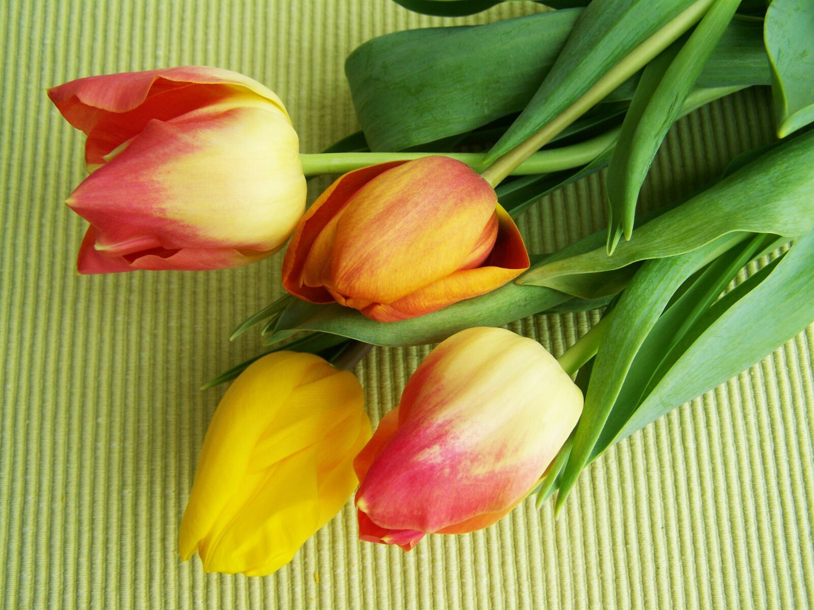 Kodak EASYSHARE ZD710 ZOOM DIGITAL CAMERA sample photo. Tulip bouquet, colorful tulips photography
