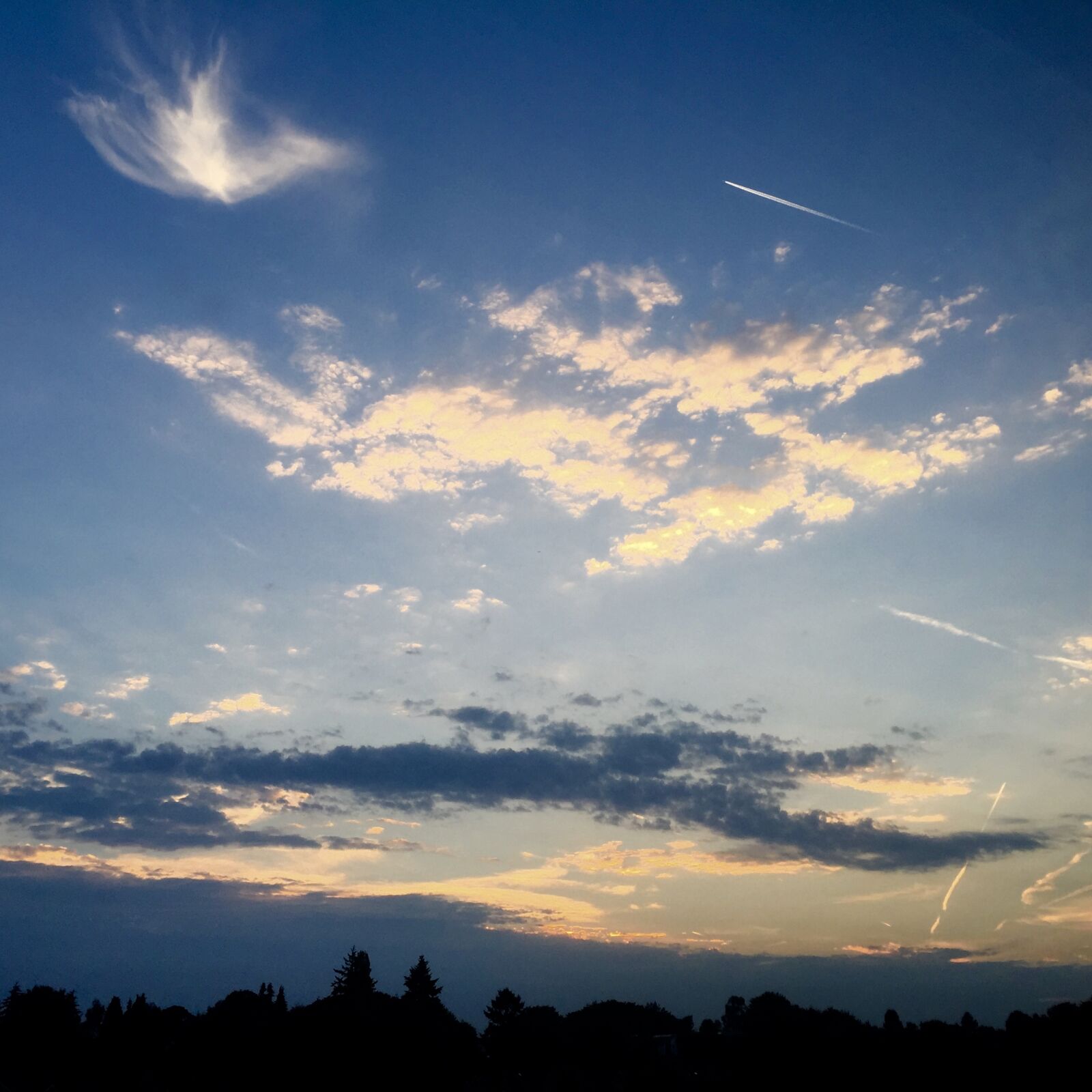 Apple iPhone 6 sample photo